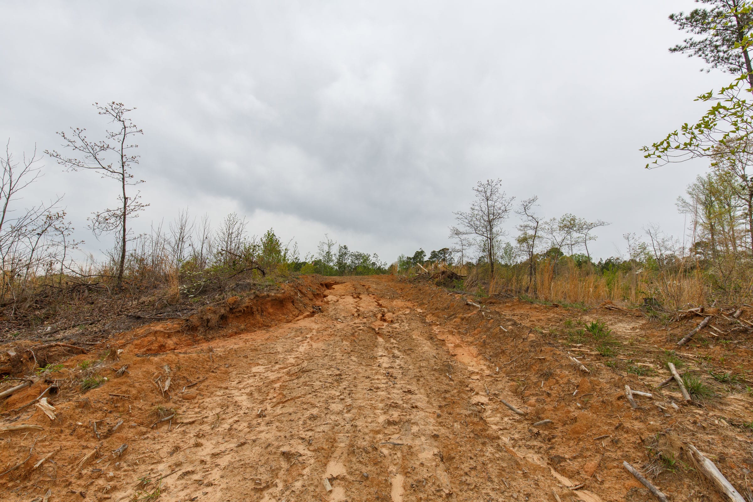Twin Rivers Tract 14 photo 7