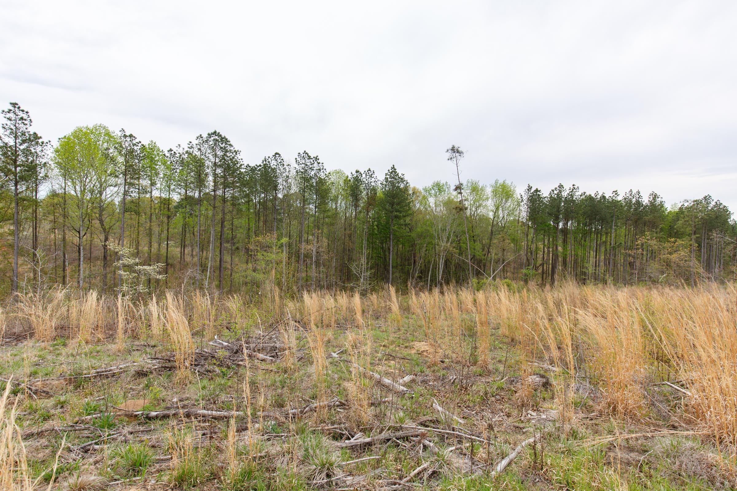 Twin Rivers Tract 14 photo 14