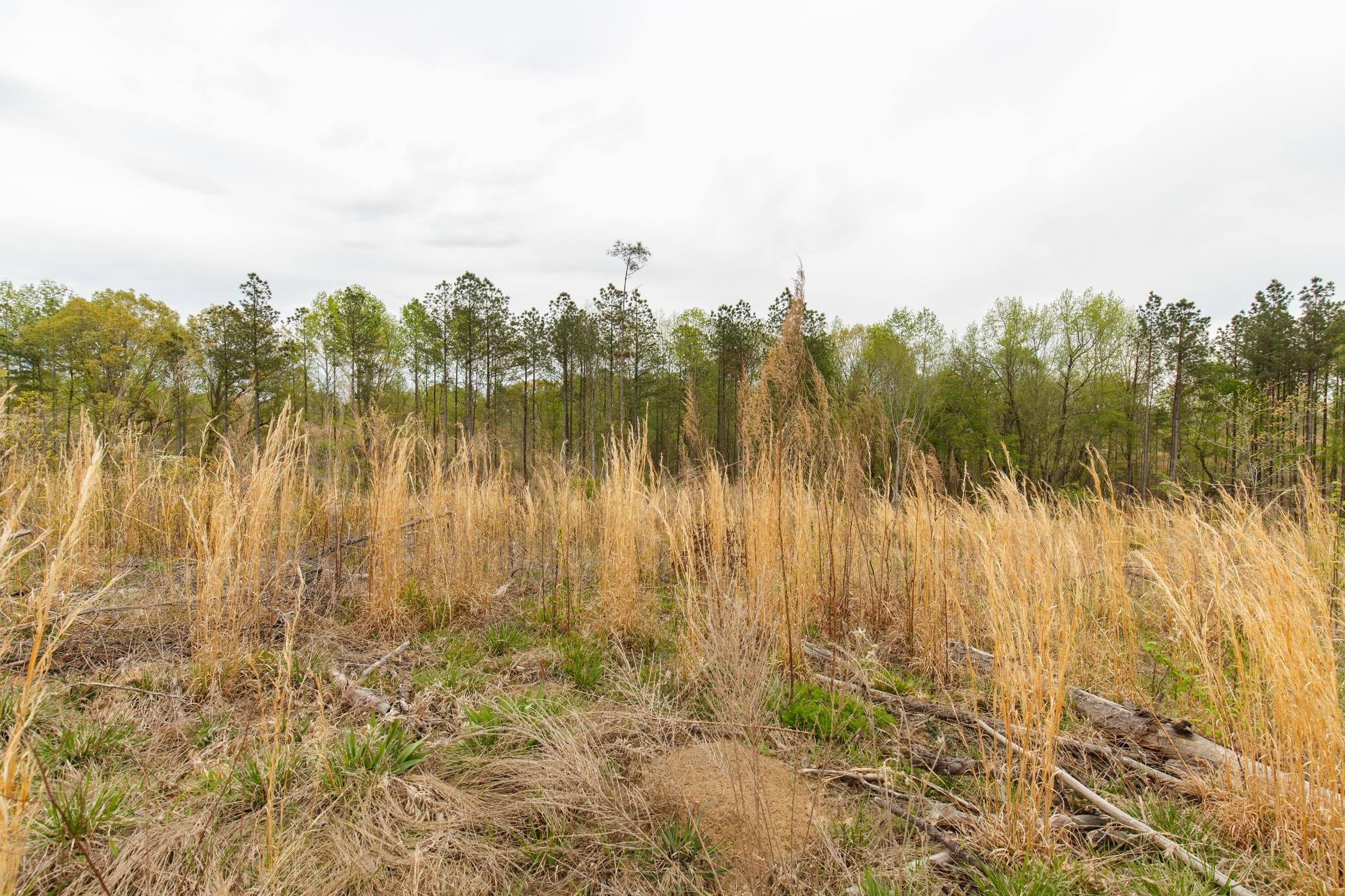 Twin Rivers Tract 14 photo 16
