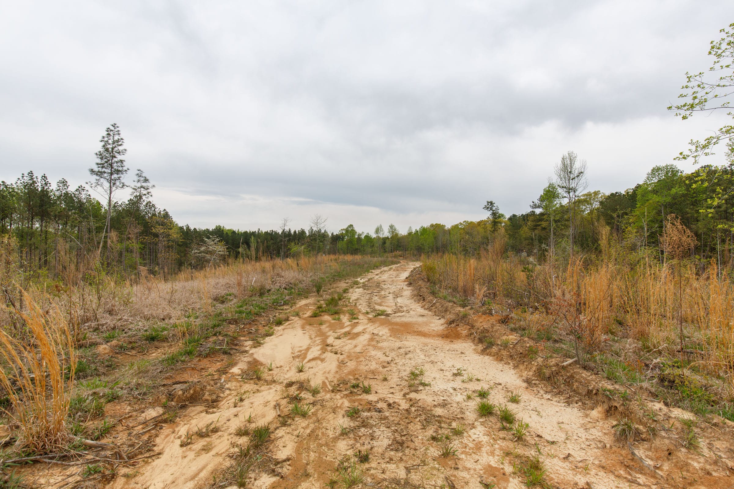 Twin Rivers Tract 14 photo 12