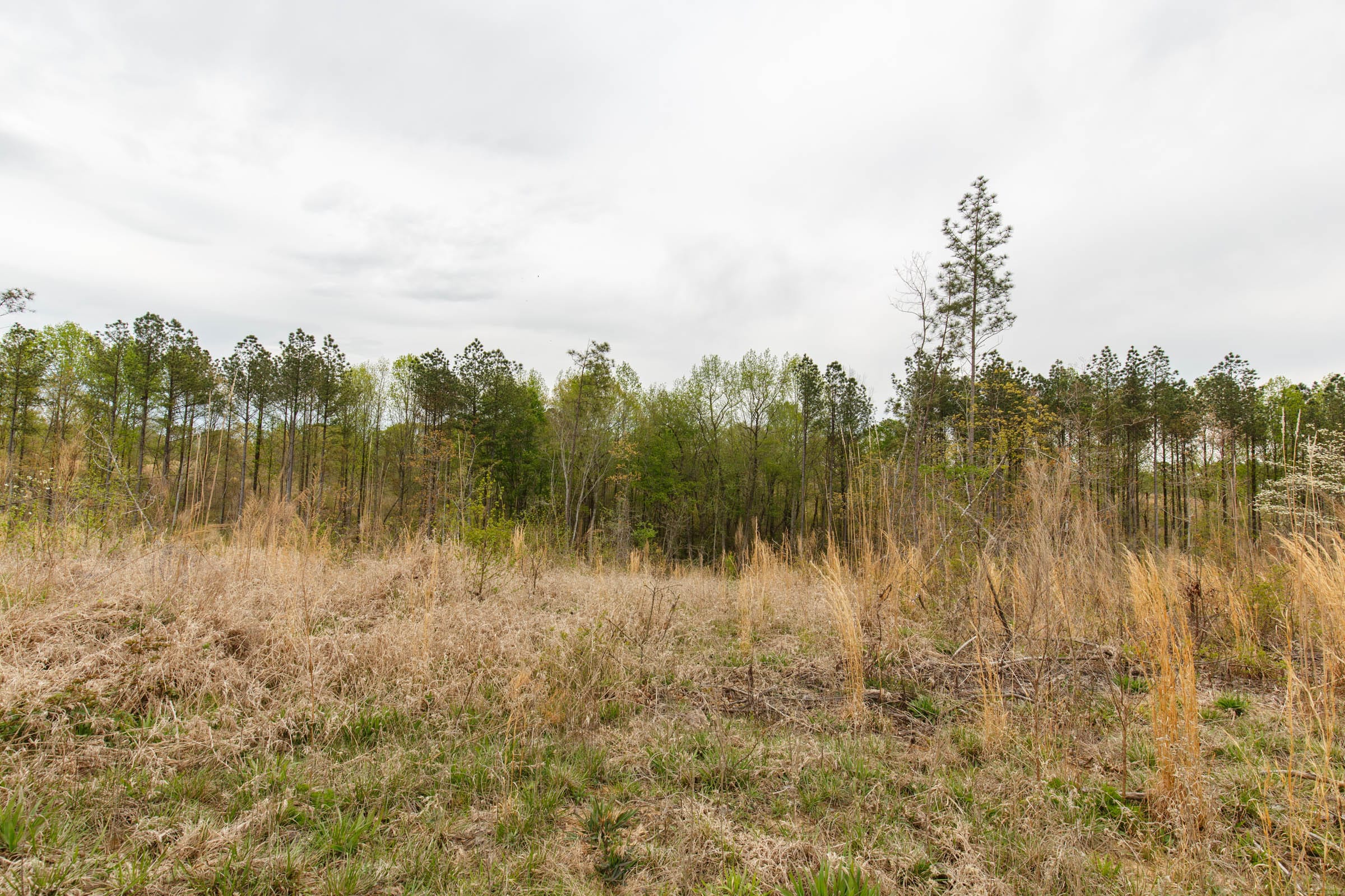 Twin Rivers Tract 14 photo 18