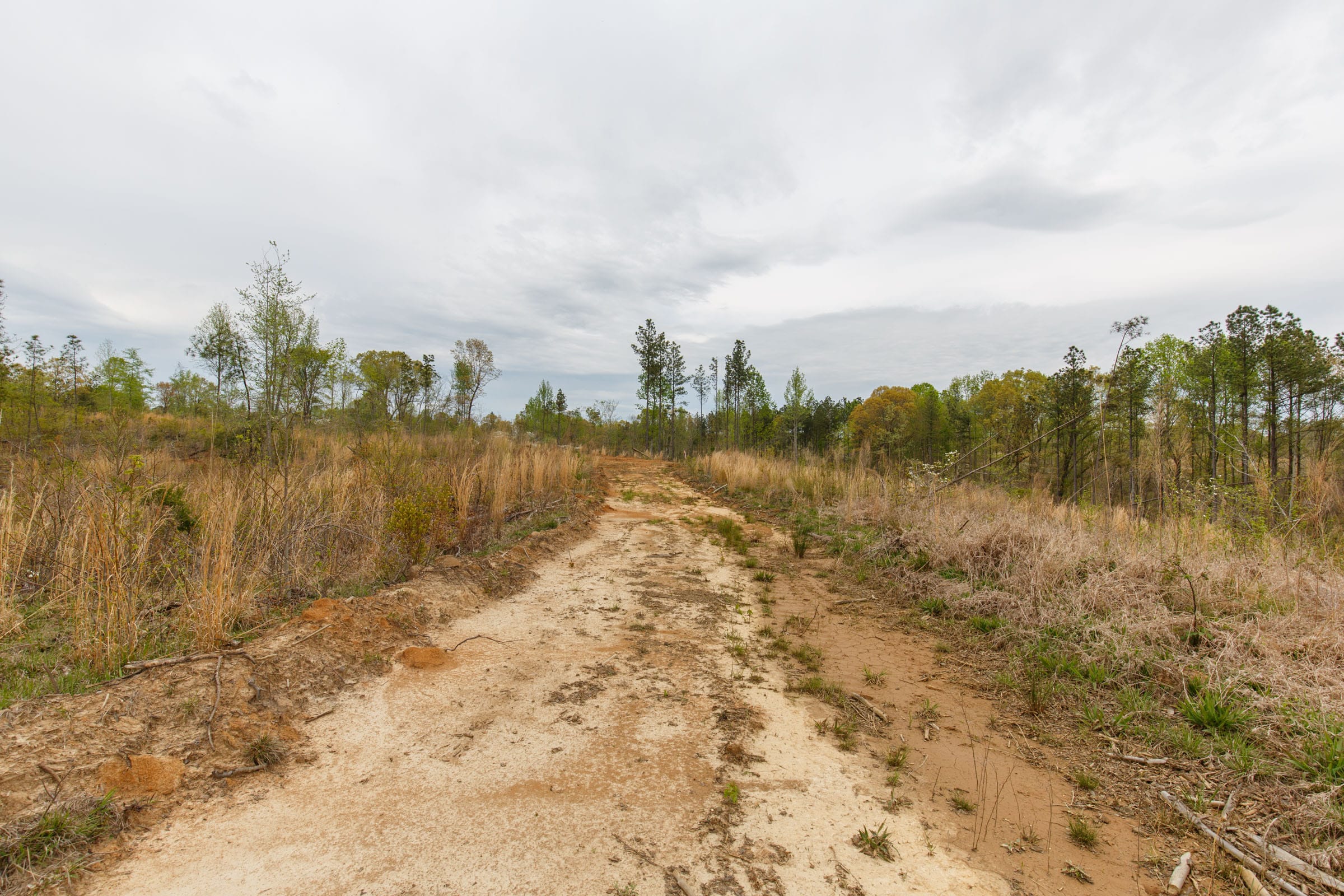 Twin Rivers Tract 14 photo 17