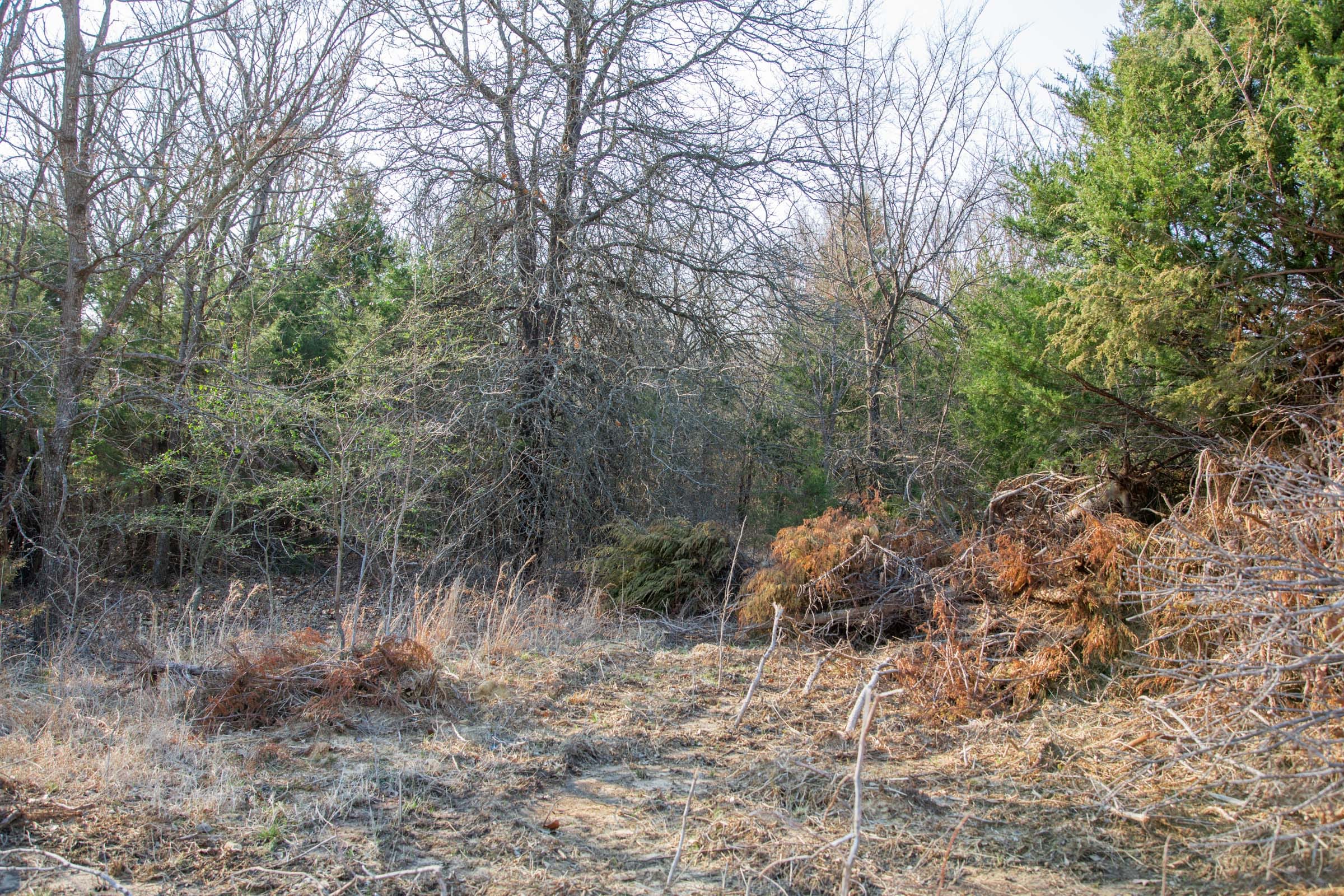 Eufaula Cove Tract 4 photo 7