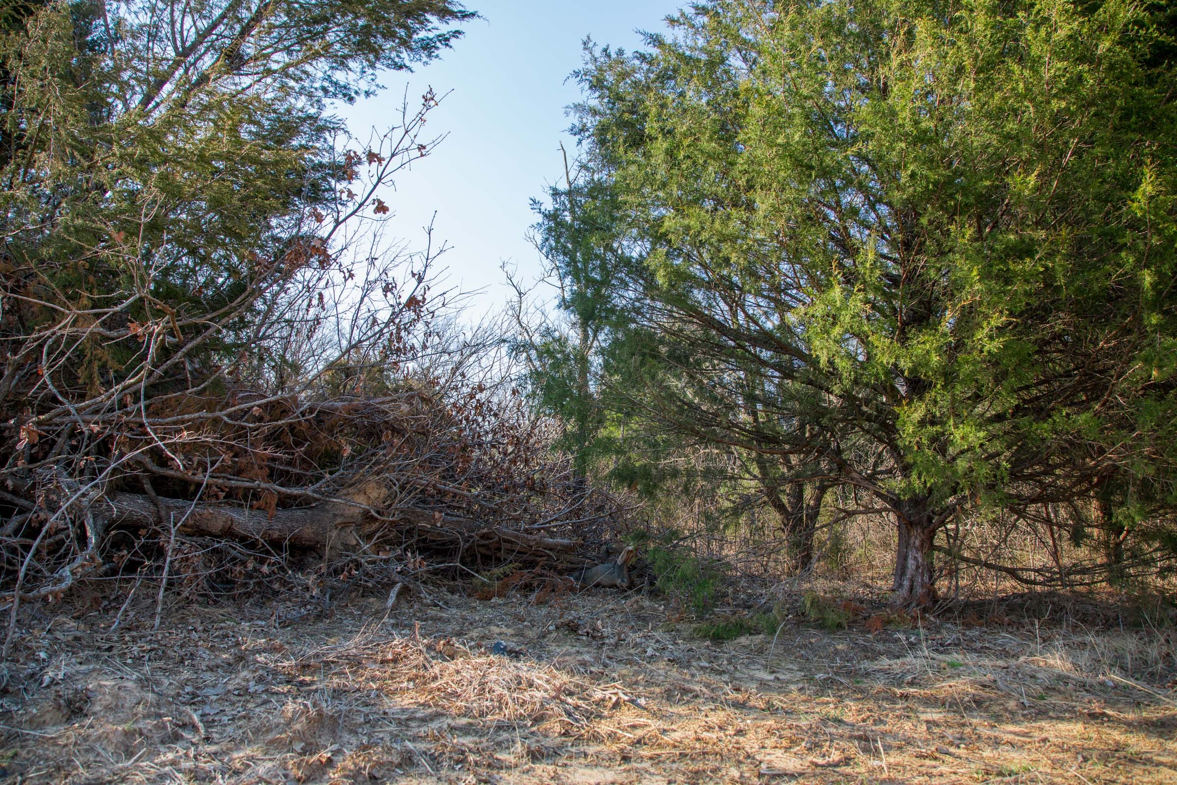 Eufaula Cove Tract 4 photo 8