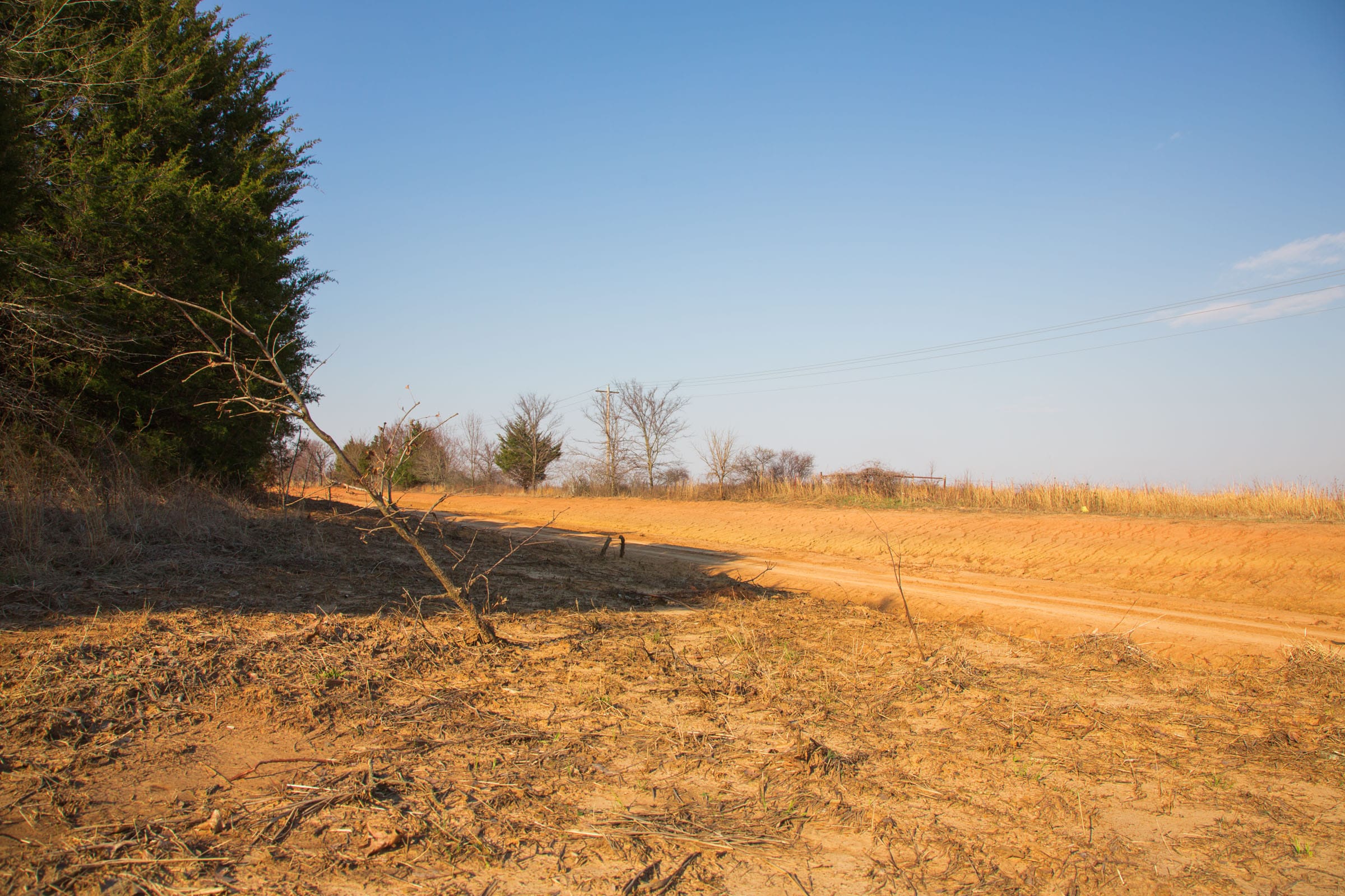 Eufaula Cove Tract 4 photo 9