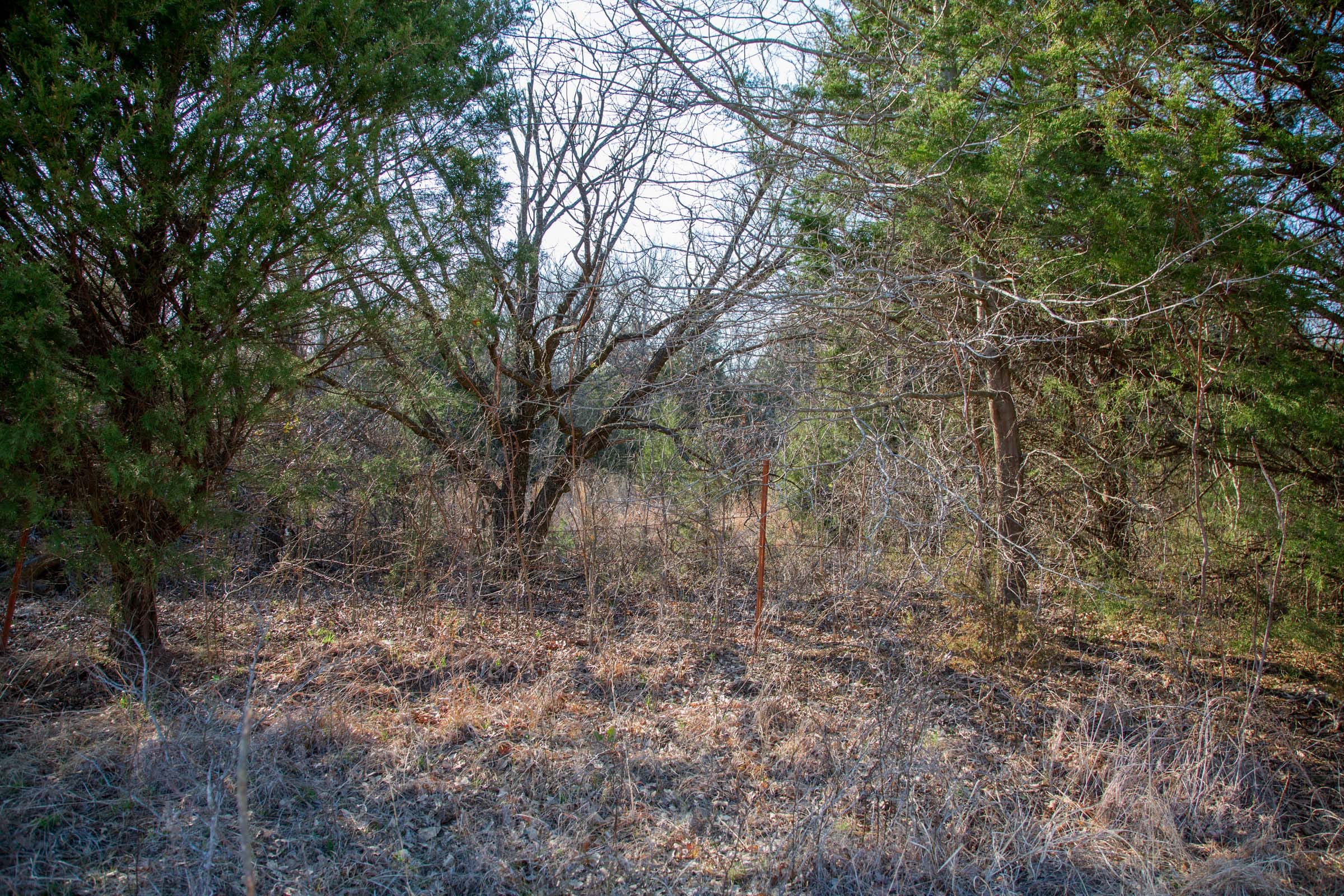 Eufaula Cove Tract 4 photo 10