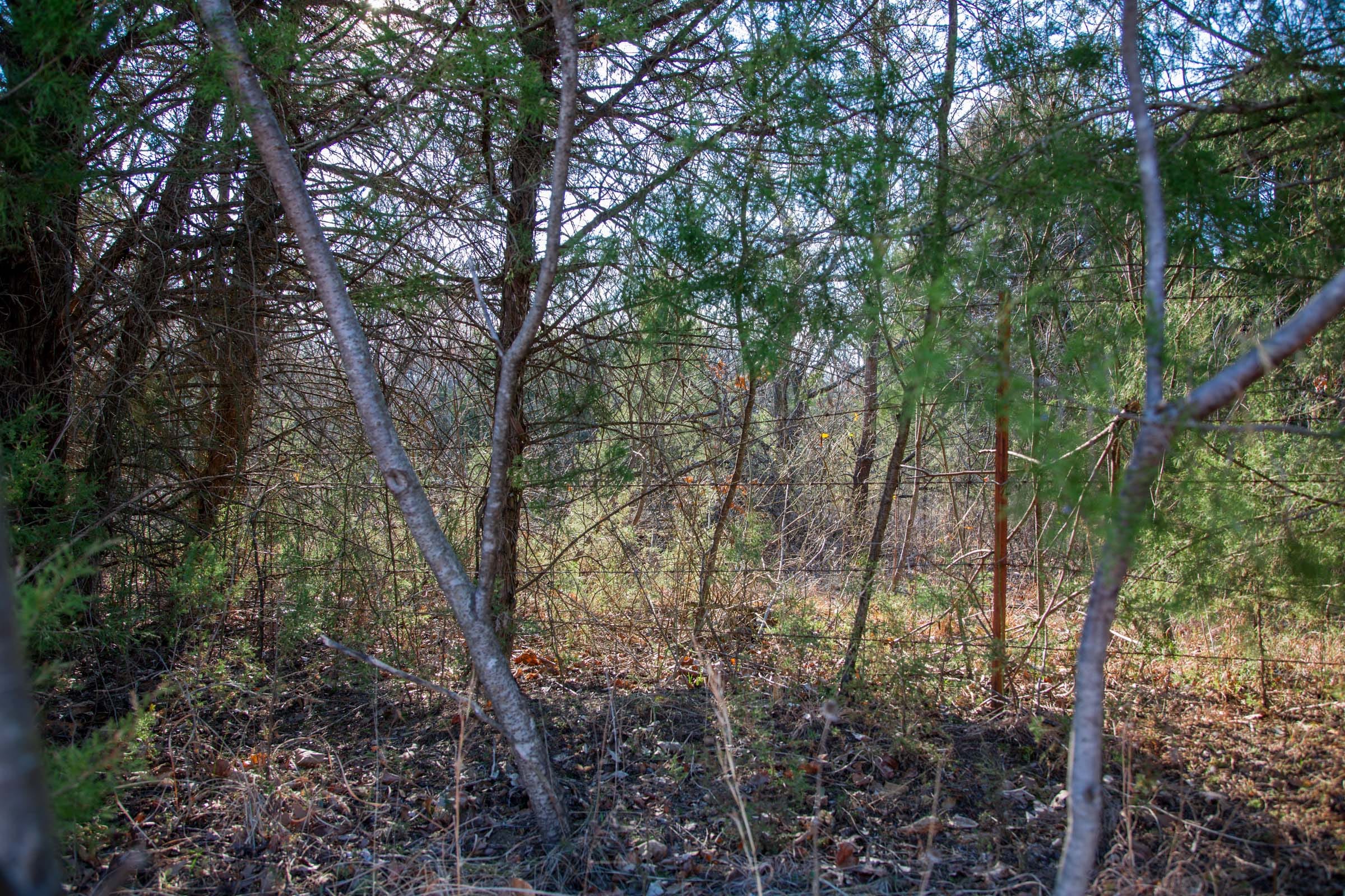 Eufaula Cove Tract 4 photo 11