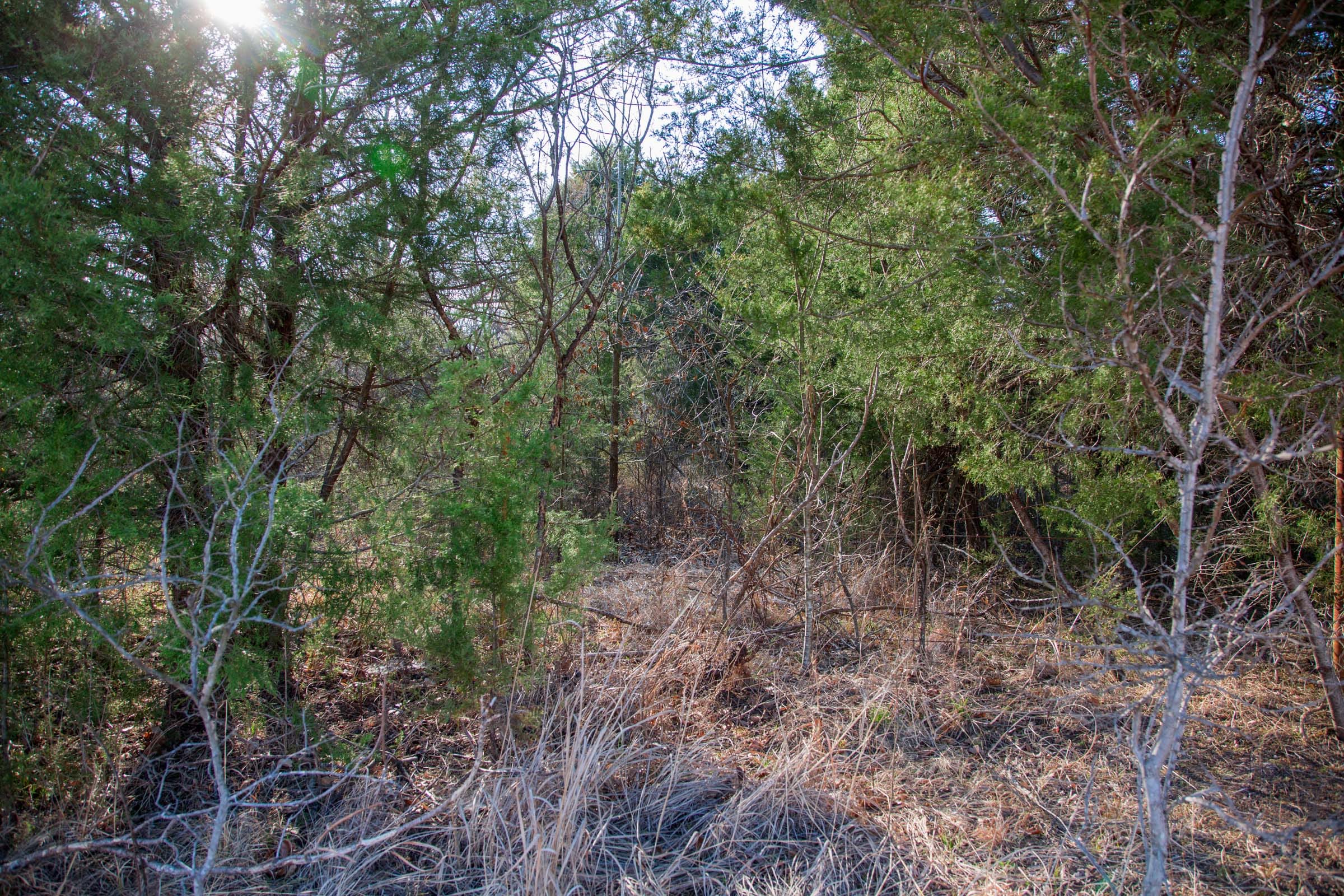 Eufaula Cove Tract 4 photo 12