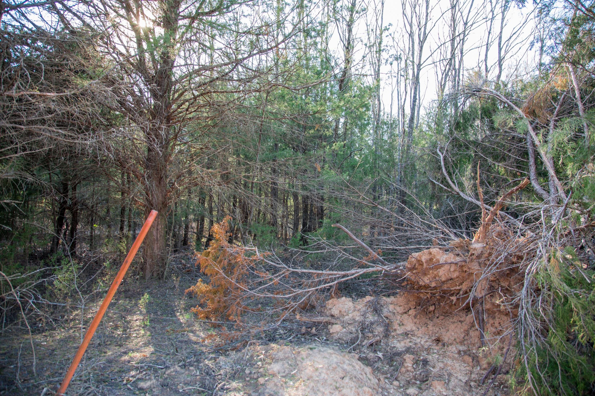 Eufaula Cove Tract 4 photo 14