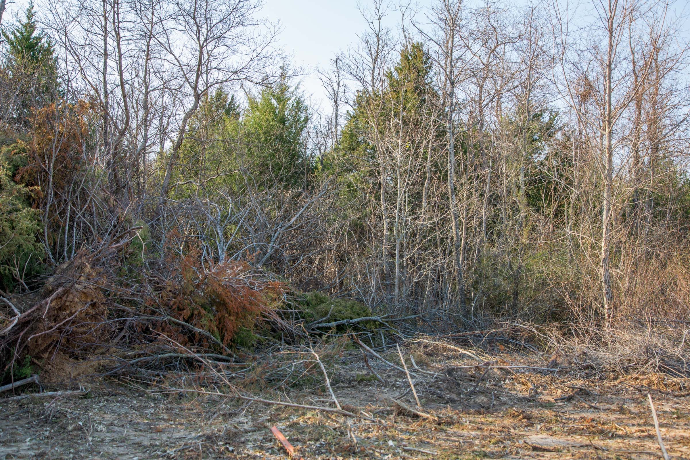 Eufaula Cove Tract 4 photo 15