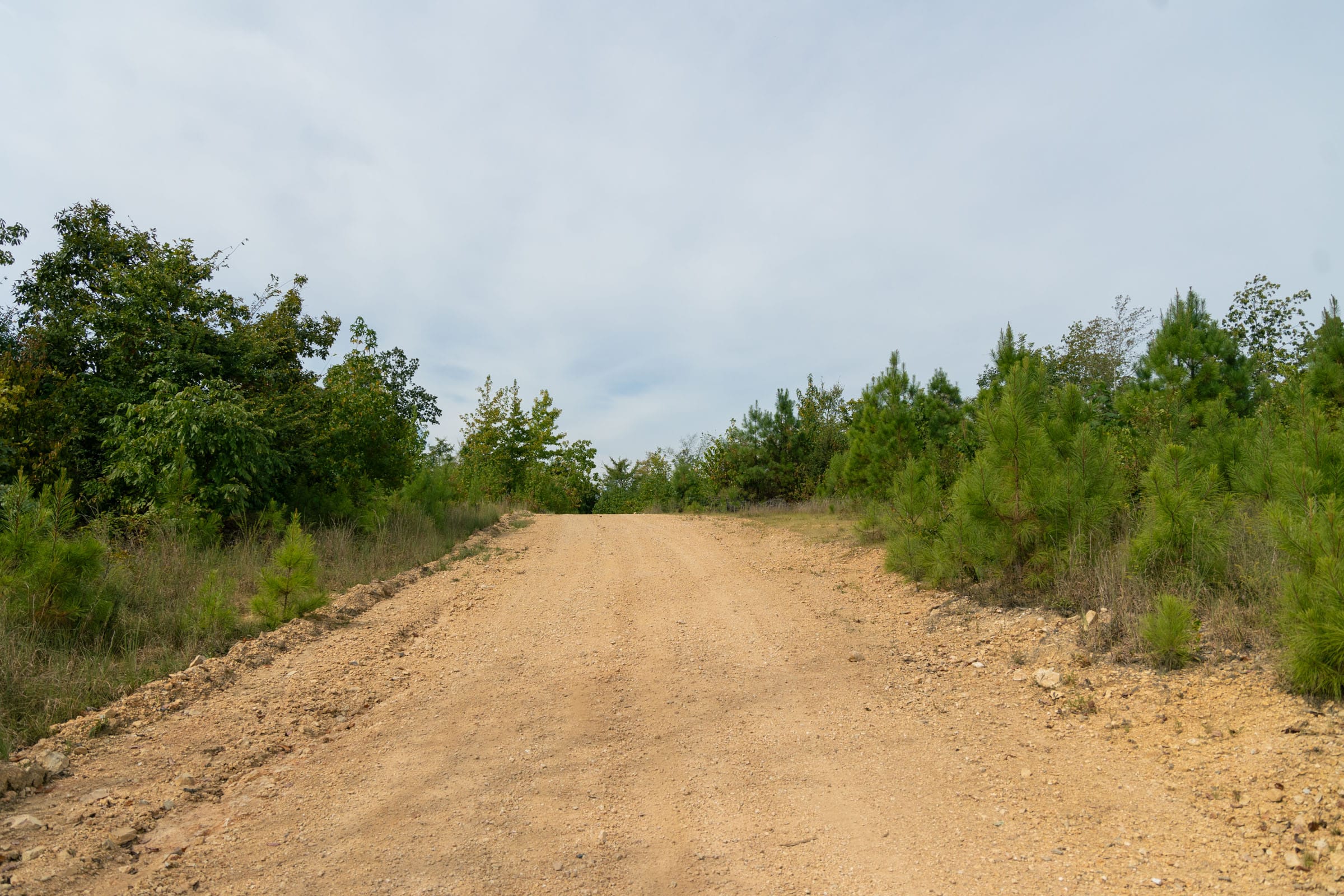 Big White Oak Tract 48 photo 1