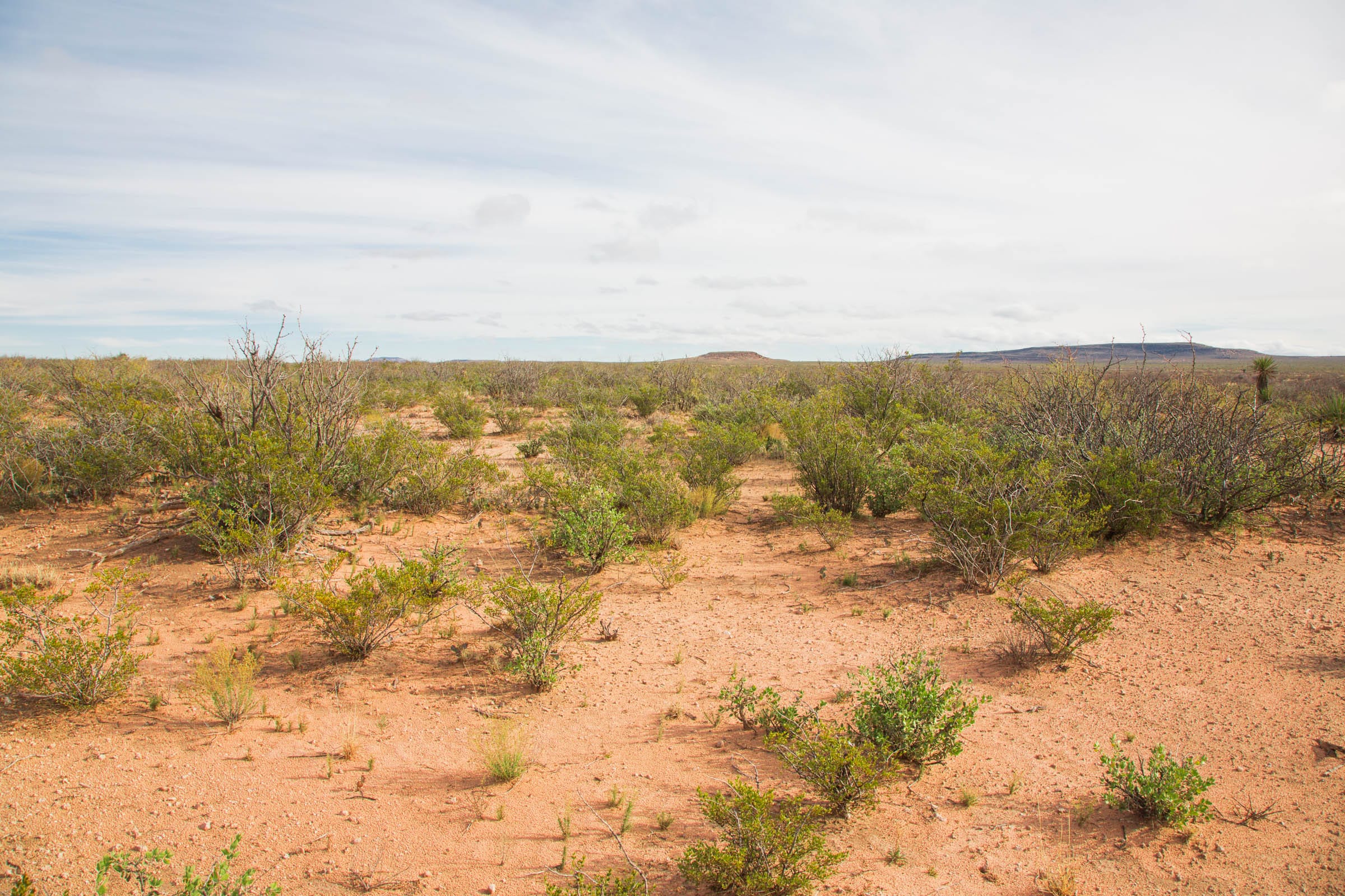 Sunset Ranches Tract 9 photo 6