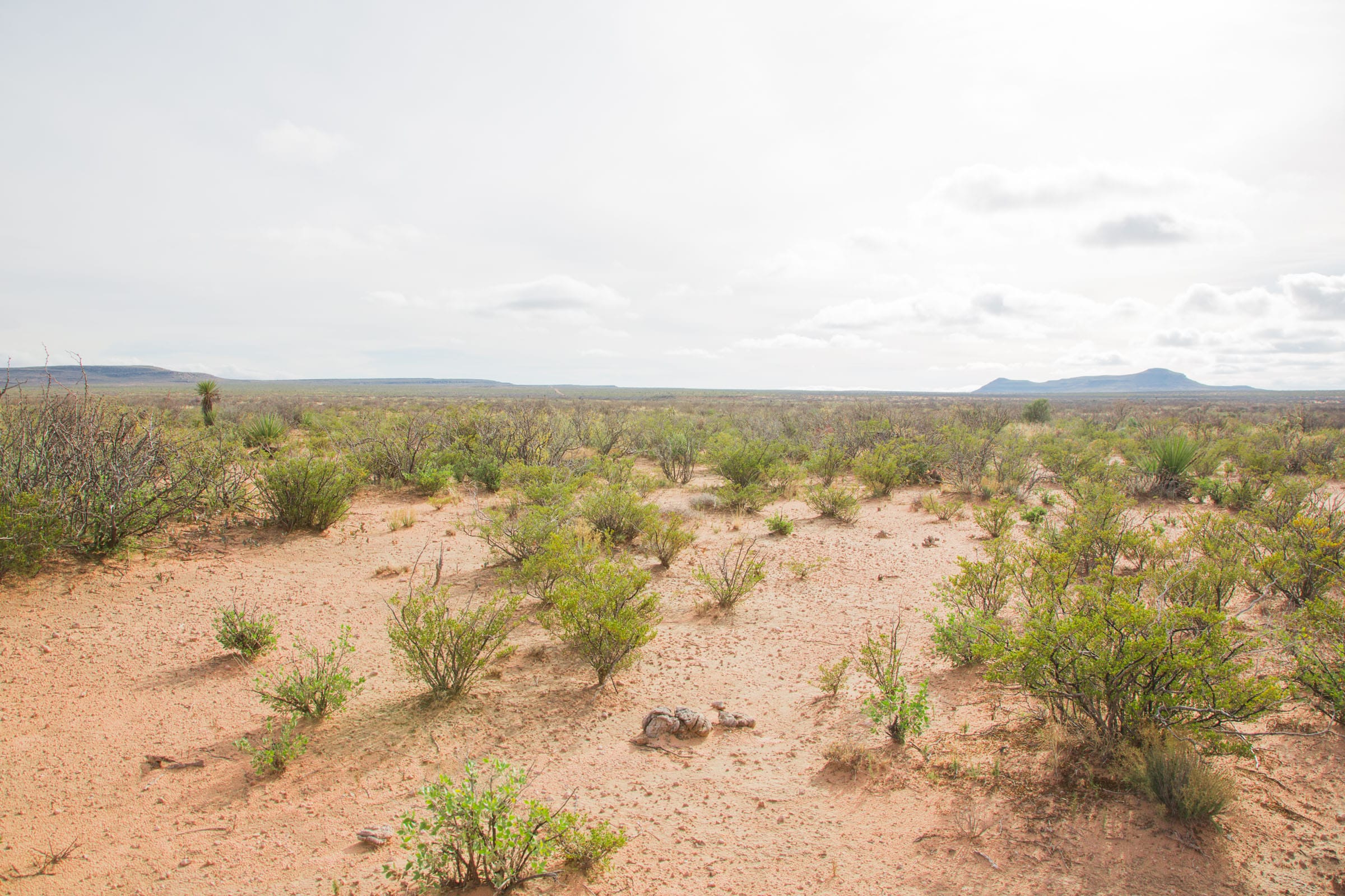Sunset Ranches Tract 9 photo 7