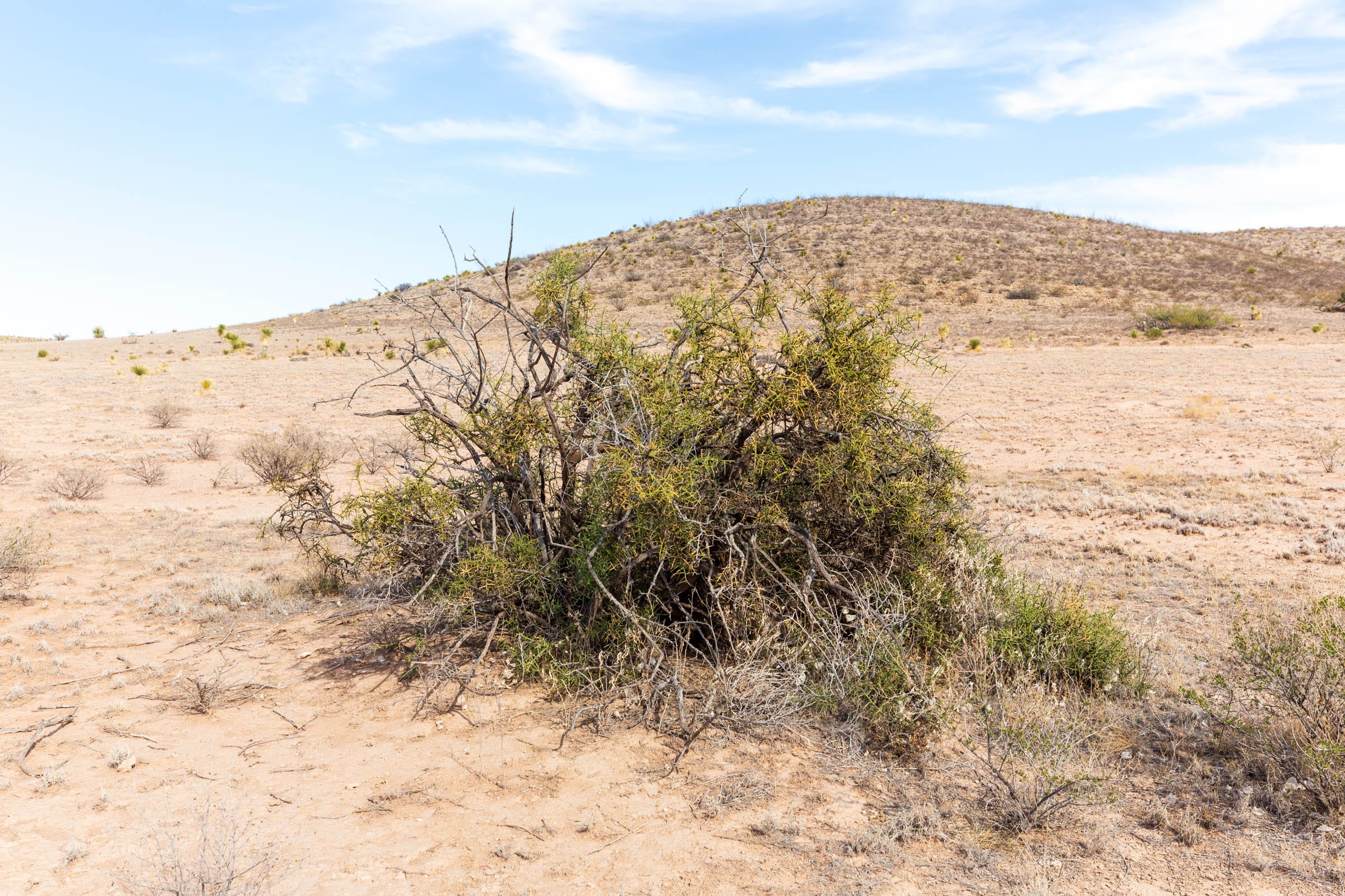 Sunrise Ranches Phase III Tract 94 photo 10
