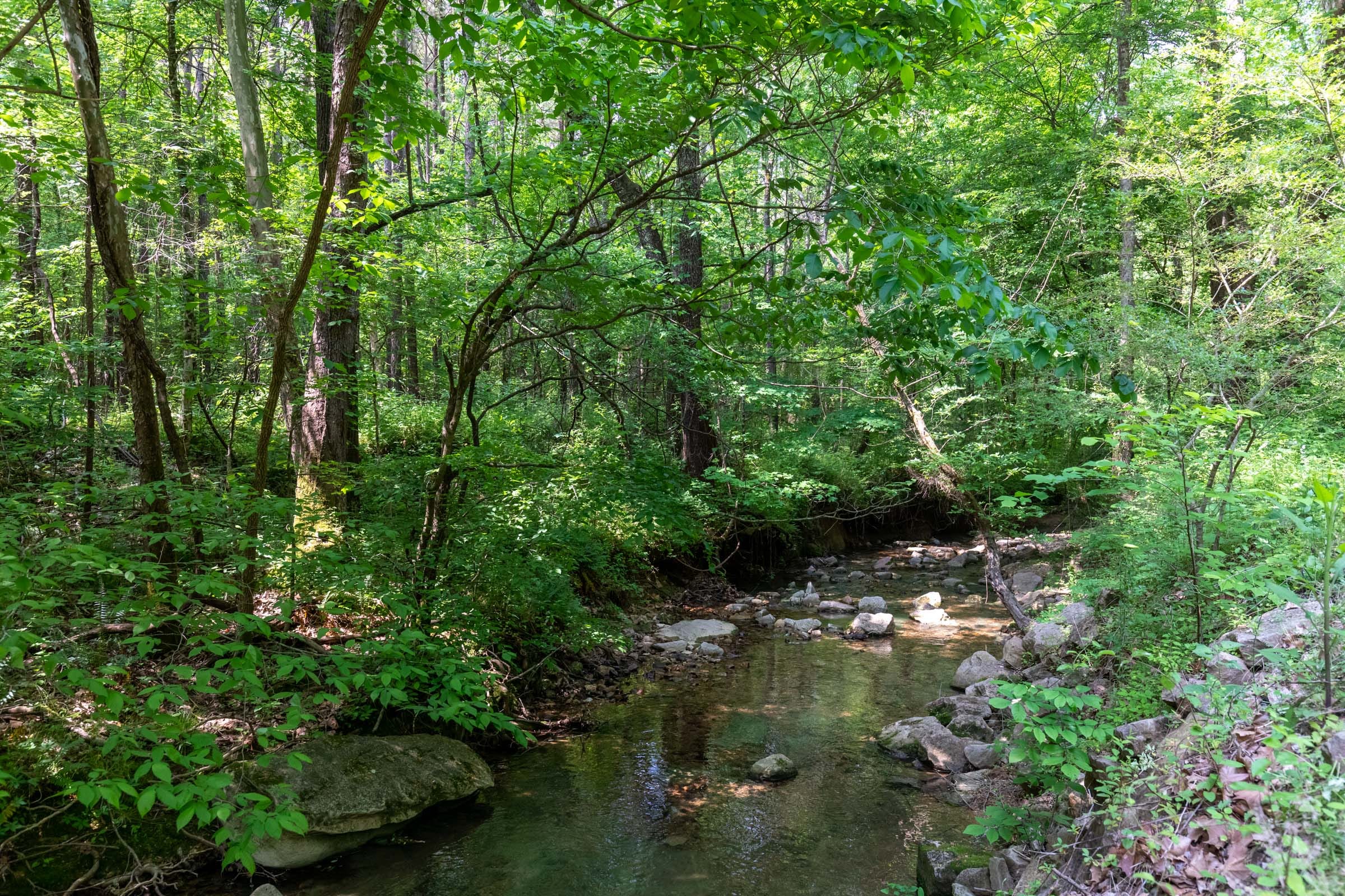Cedar Creek Tract 44 photo 2