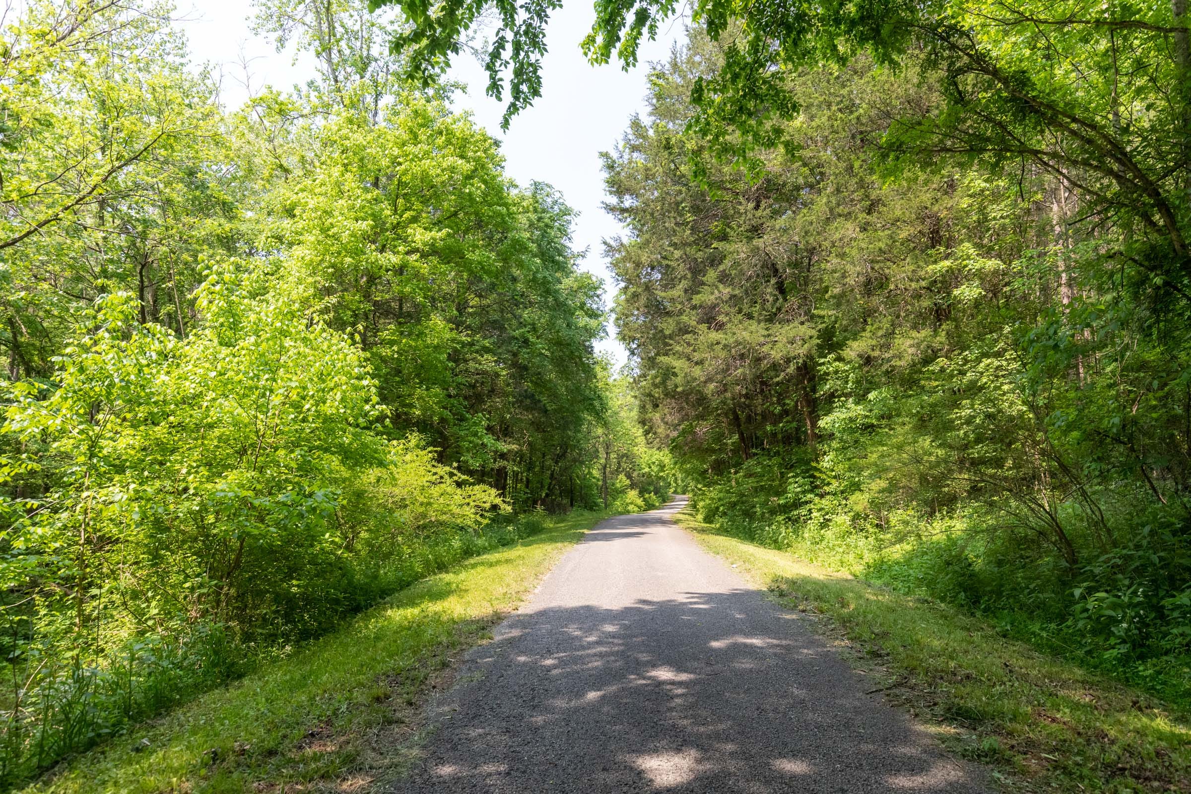 Cedar Creek Tract 44 photo 1