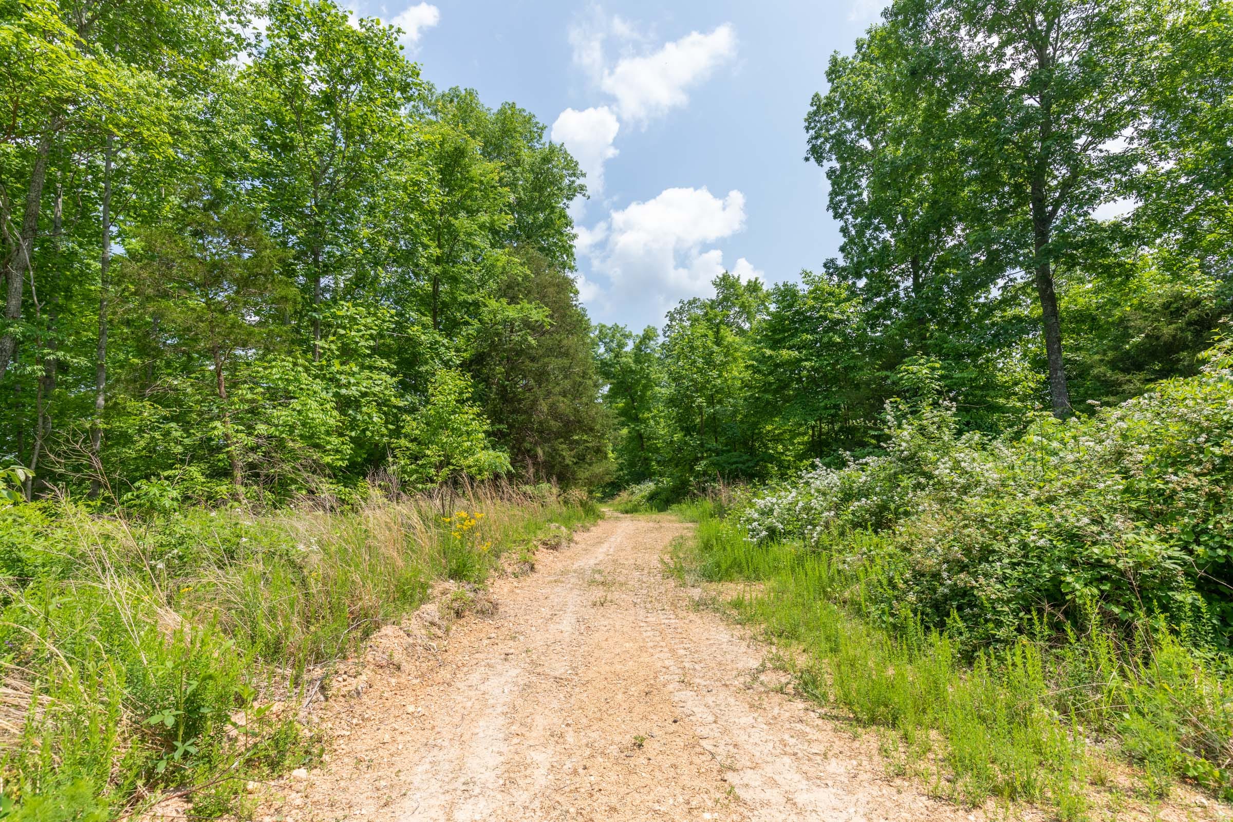 Cedar Creek Tract 44 photo 6