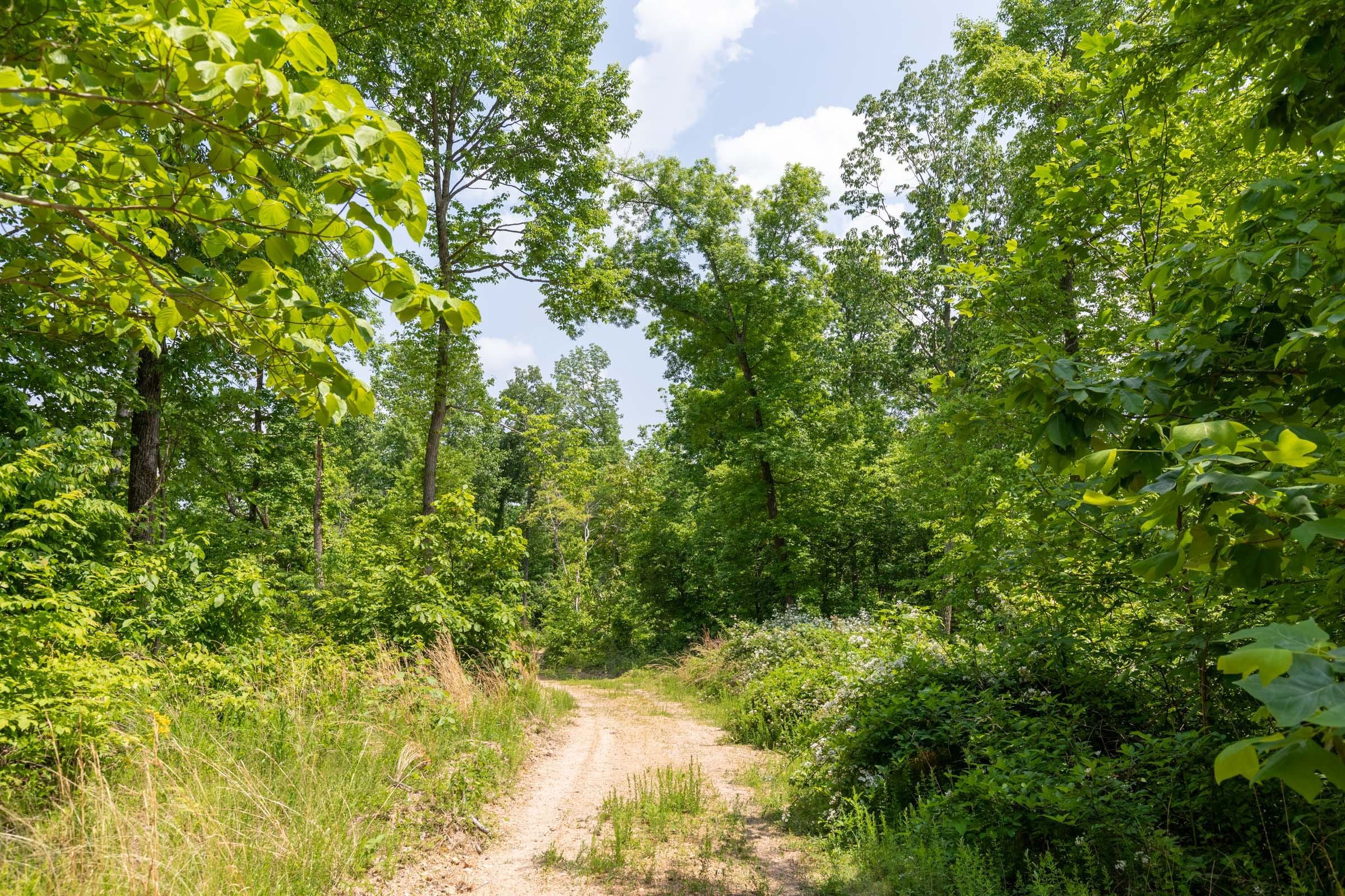 Cedar Creek Tract 44 photo 10