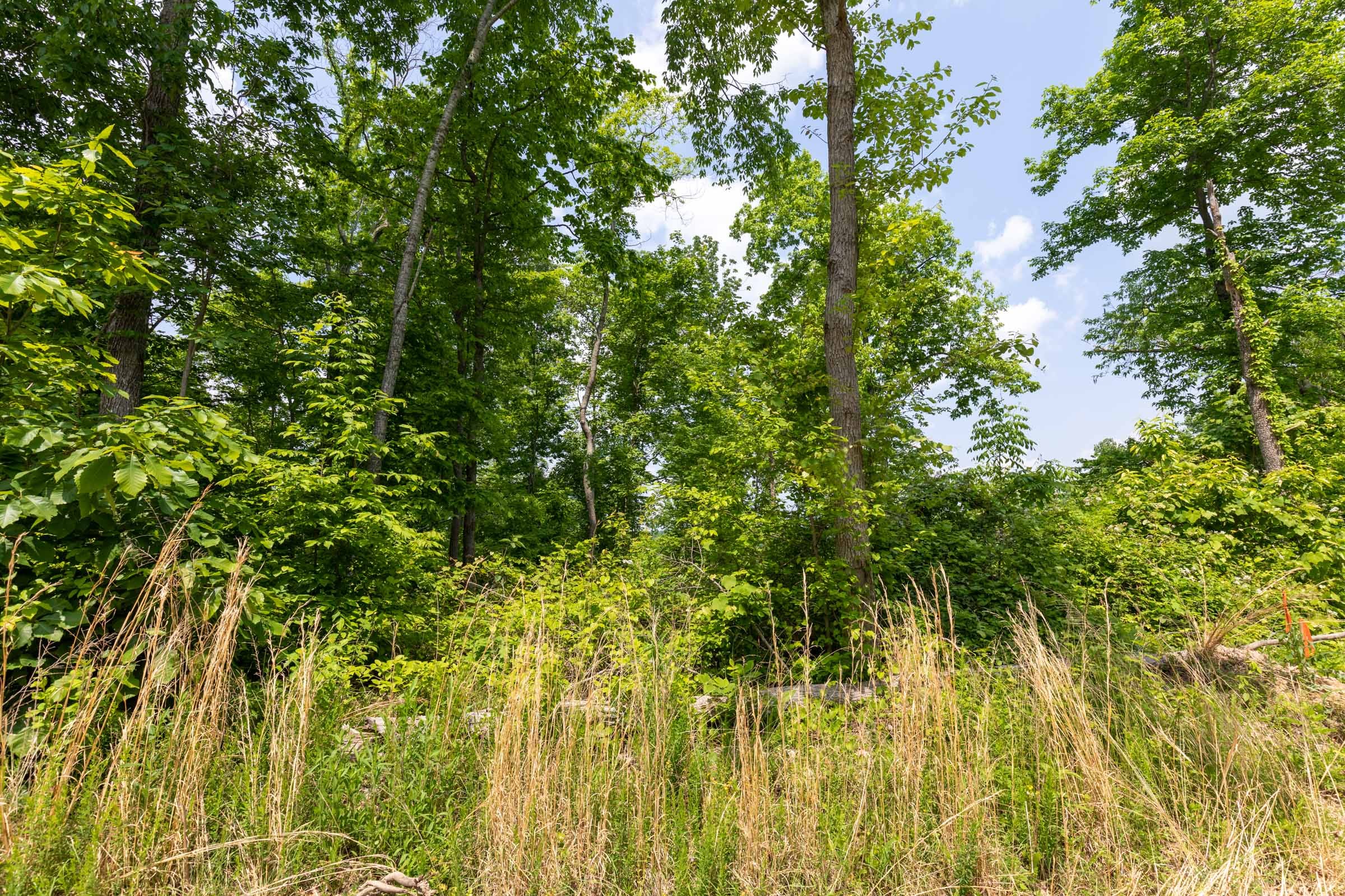 Cedar Creek Tract 44 photo 14
