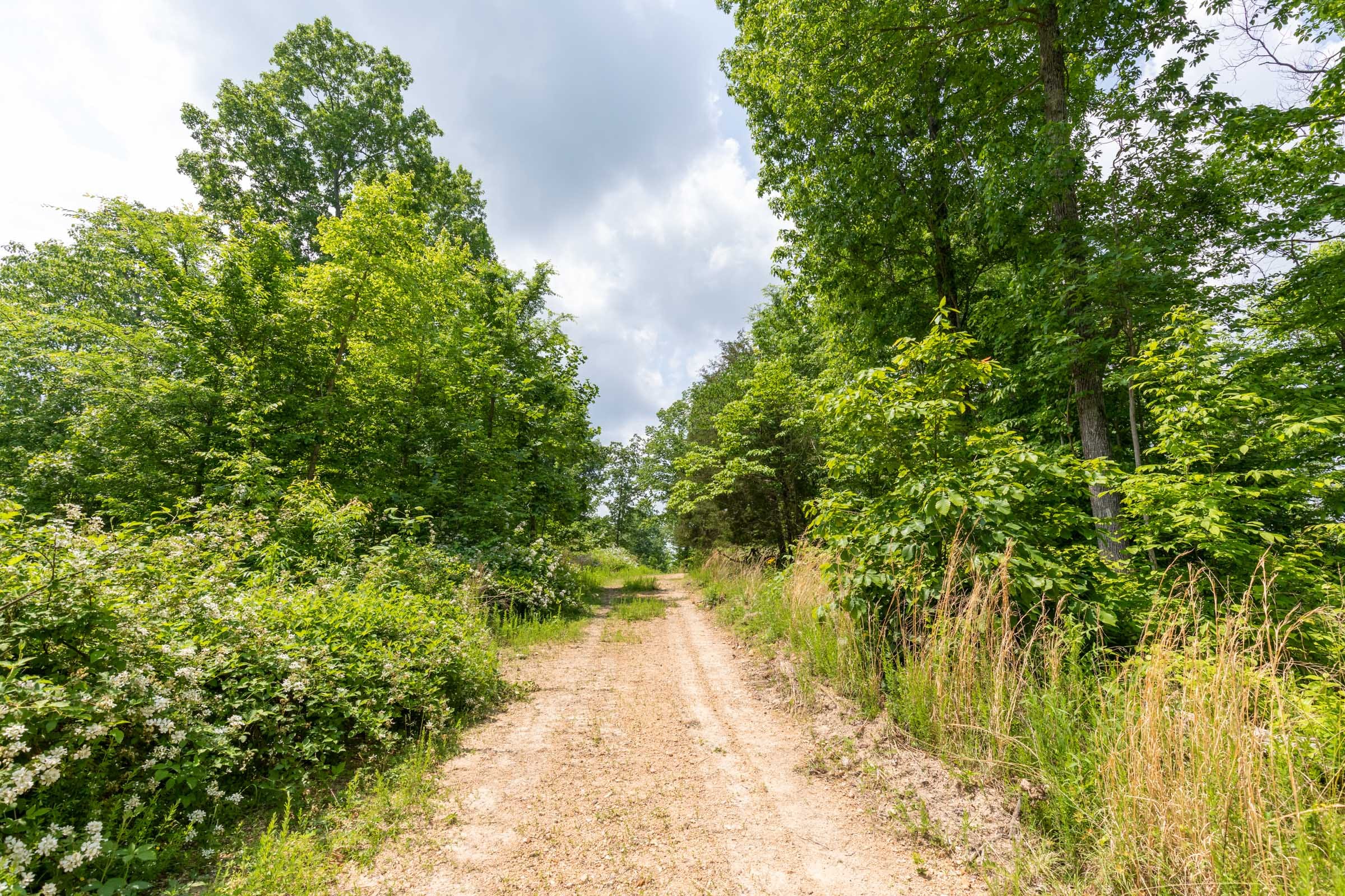 Cedar Creek Tract 44 photo 13