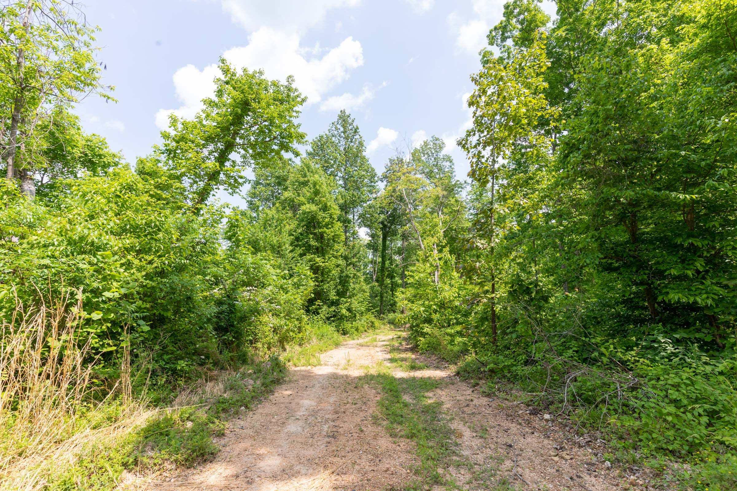 Cedar Creek Tract 44 photo 16