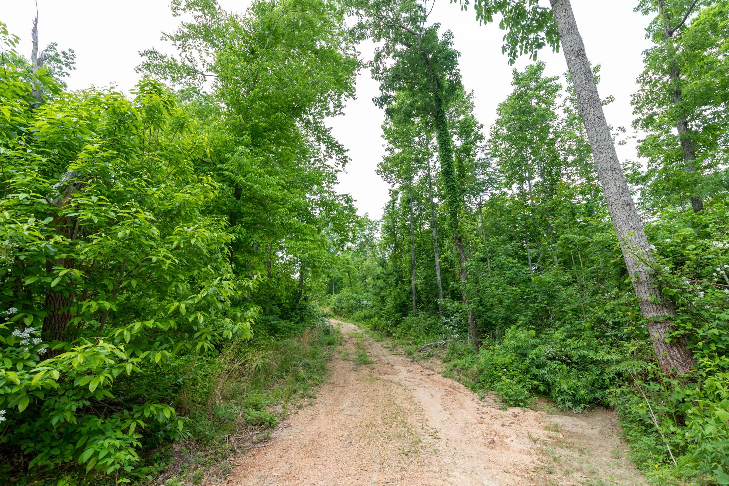 Cedar Creek Tract 44 photo 19