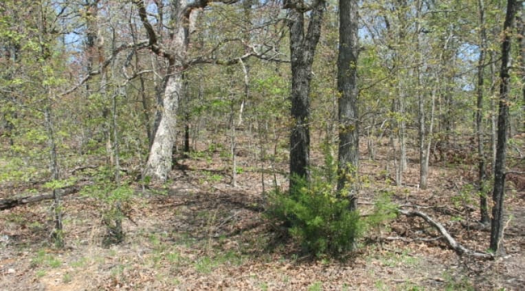 Horseshoe Bend Tract 316 photo 2