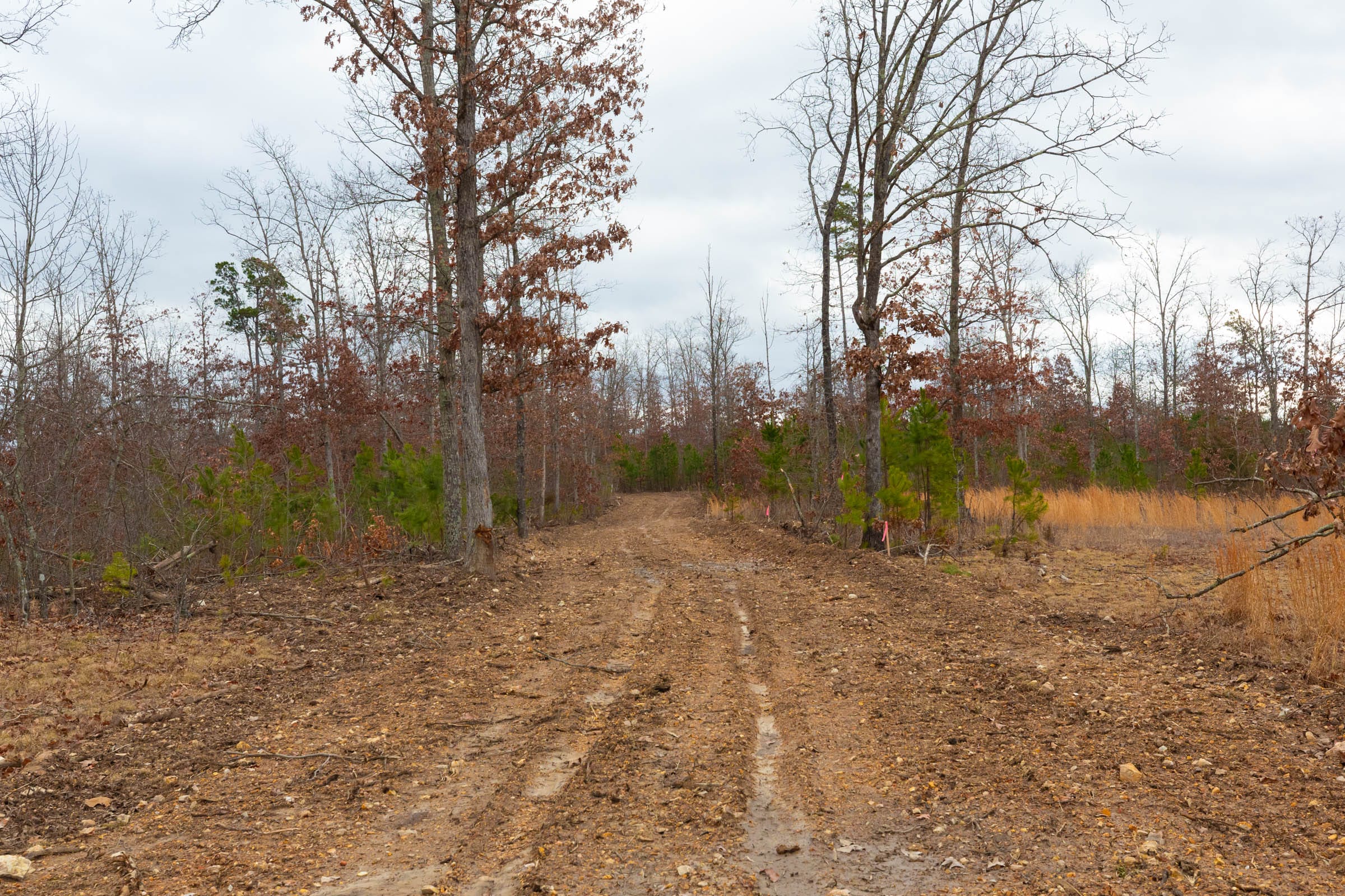 Windy Ridge Tract 10 photo 1