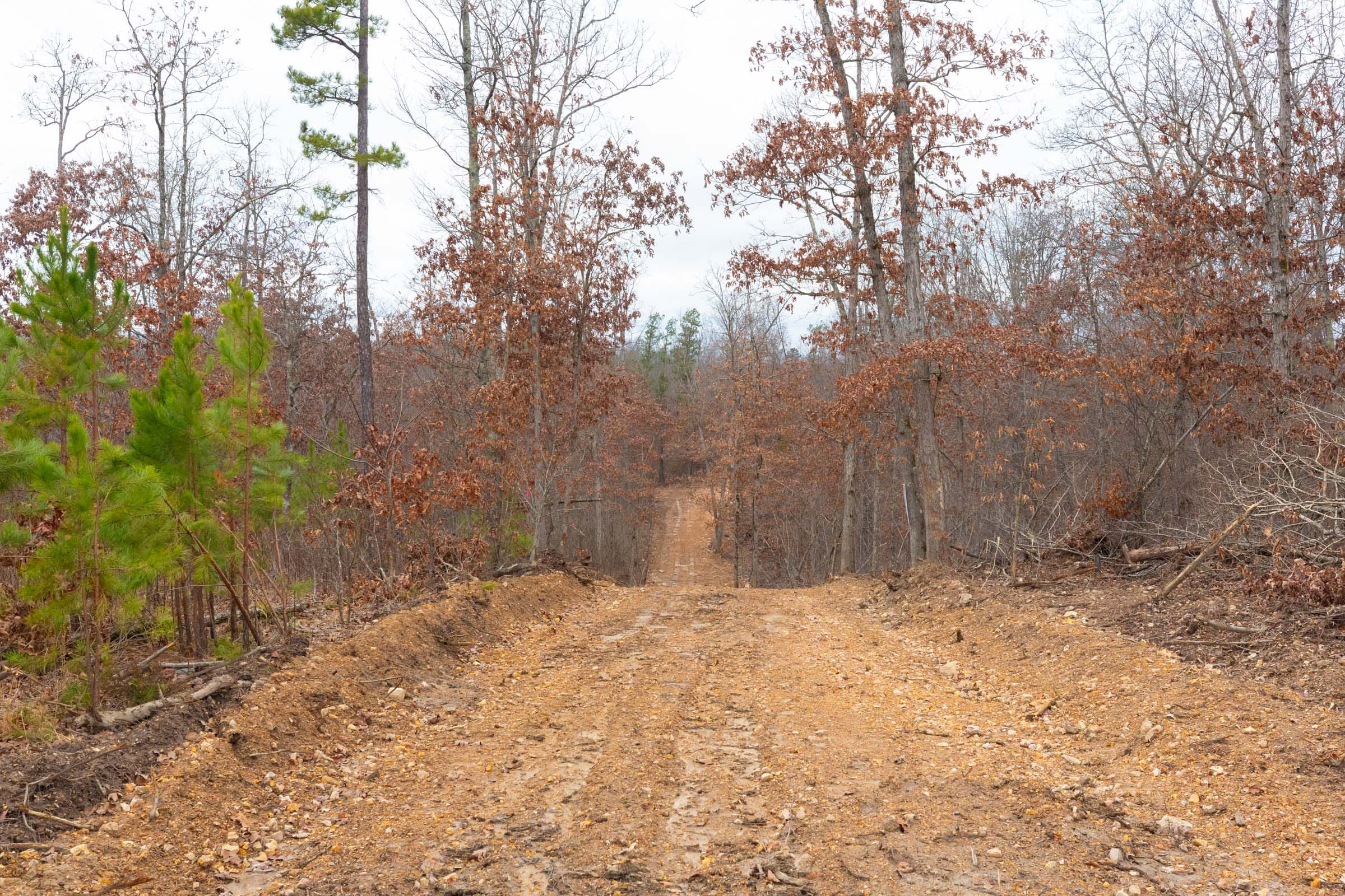 Windy Ridge Tract 10 photo 7