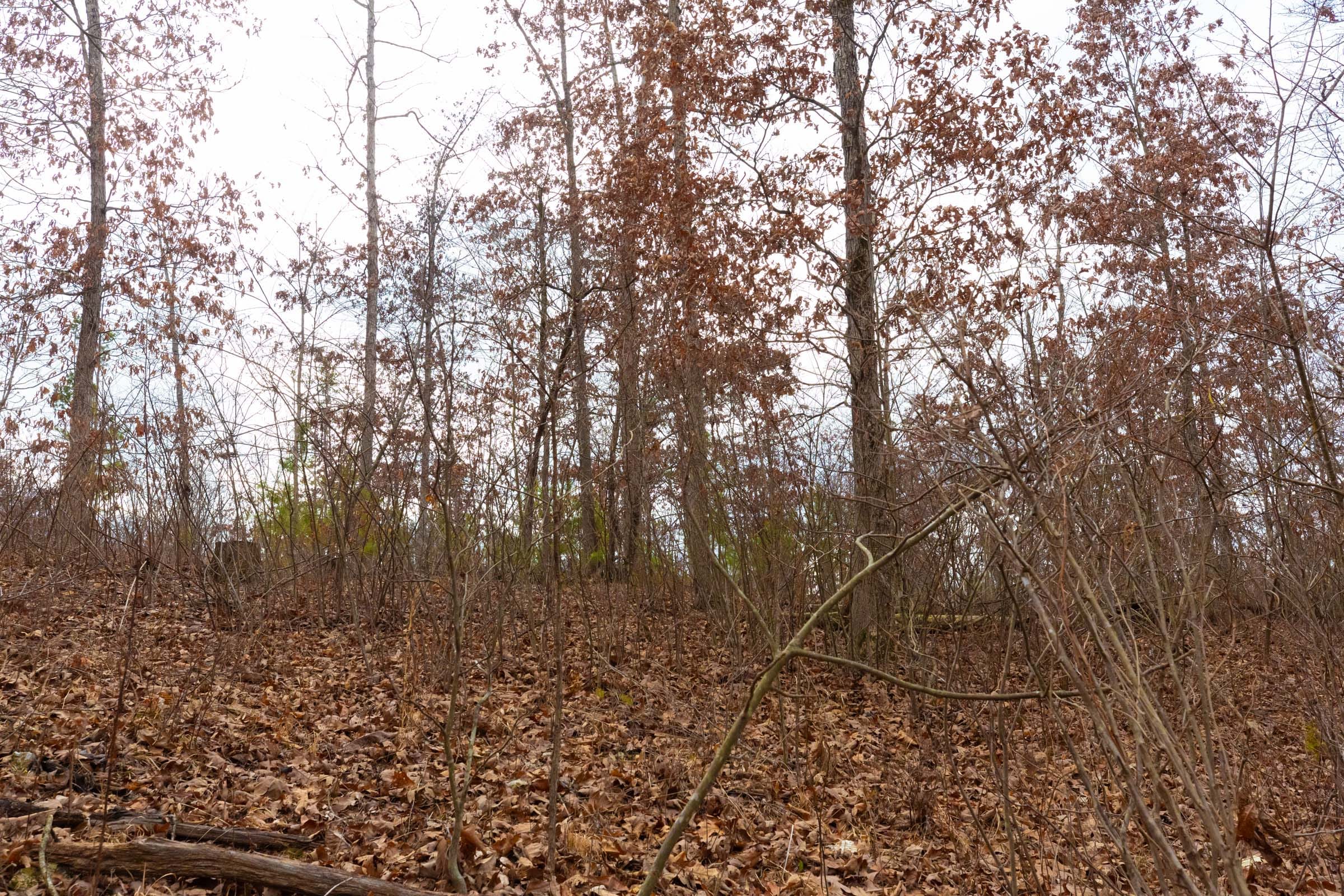 Windy Ridge Tract 10 photo 11