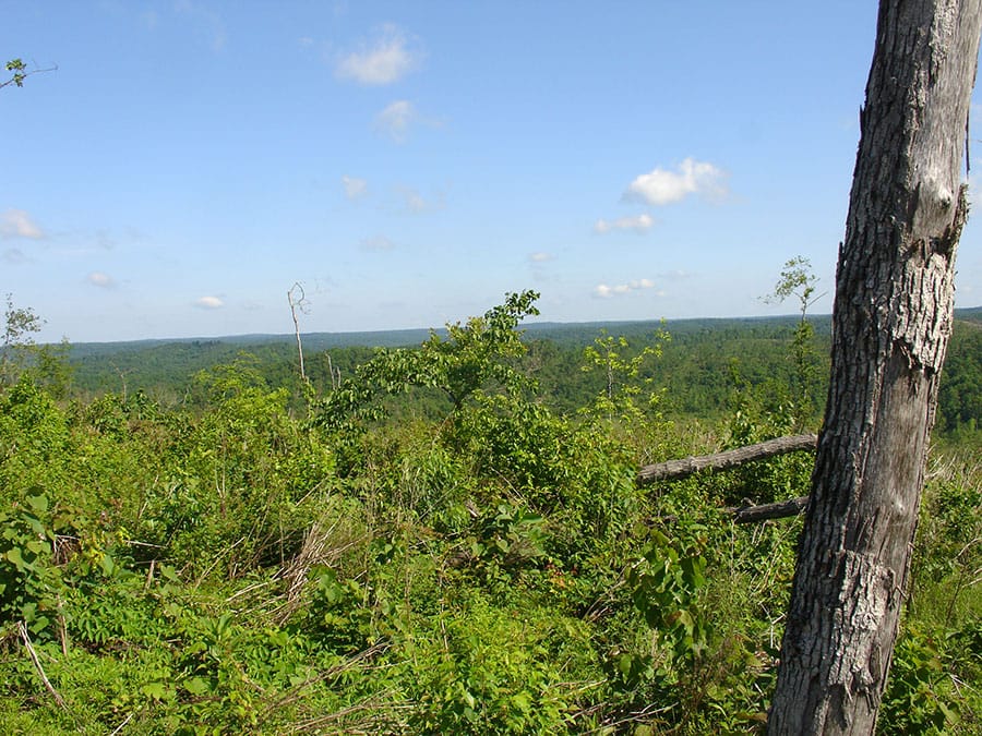 Antler Ridge Tract 30 photo 2
