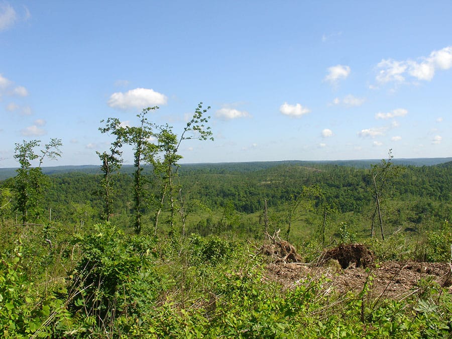 Antler Ridge Tract 30 photo 3
