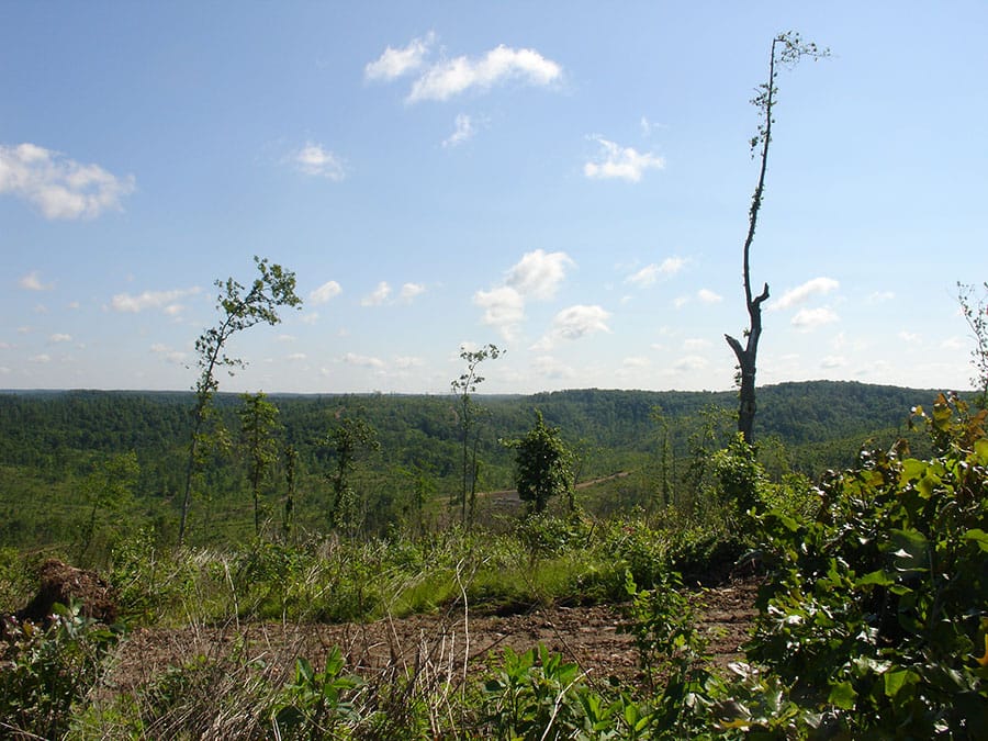 Antler Ridge Tract 30 photo 4