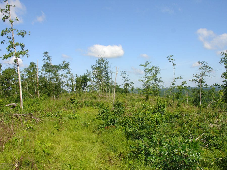 Antler Ridge Tract 30 photo 6