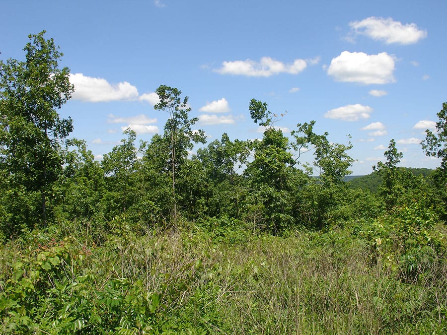 Antler Ridge Tract 16 photo 1