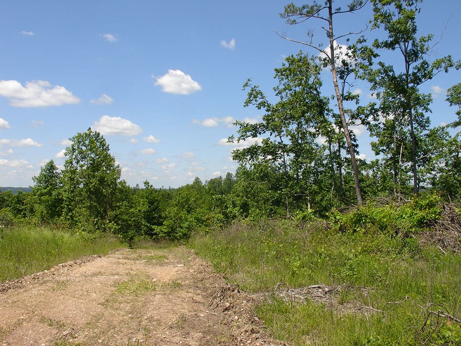 Antler Ridge Tract 16 photo 3