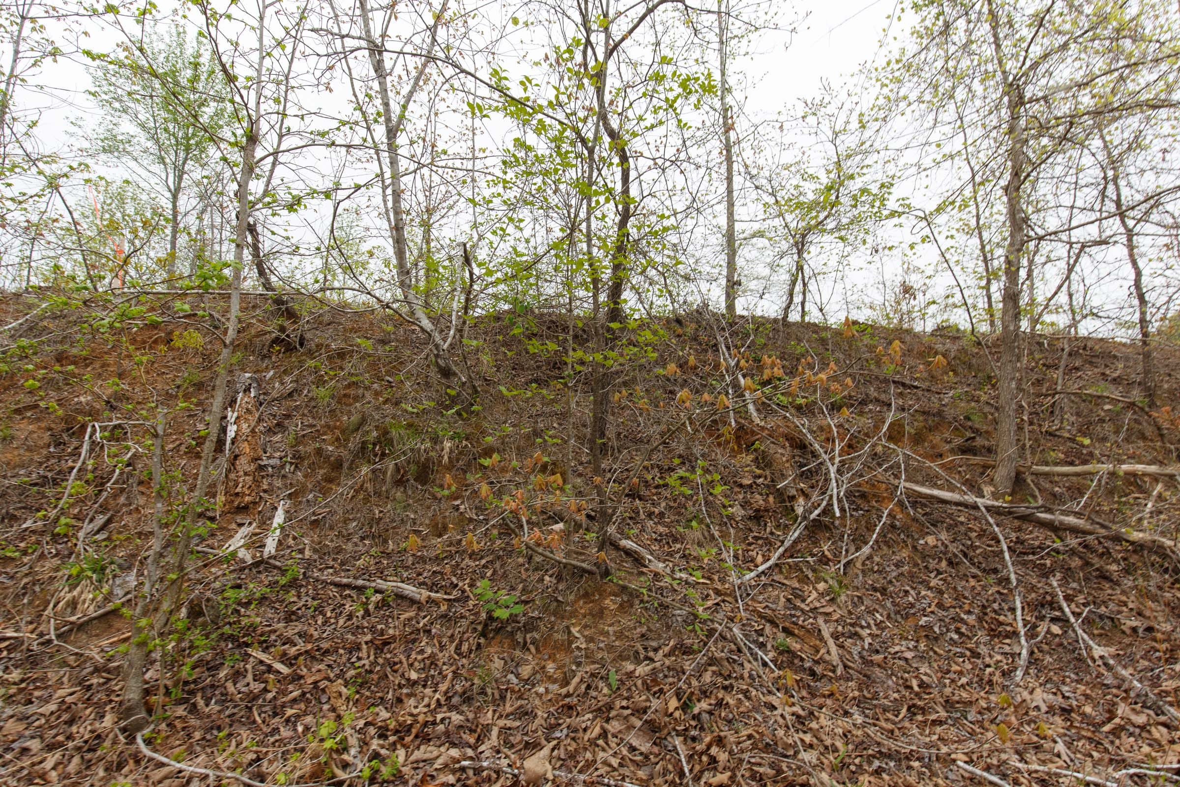 Twin Rivers Tract 21 photo 3