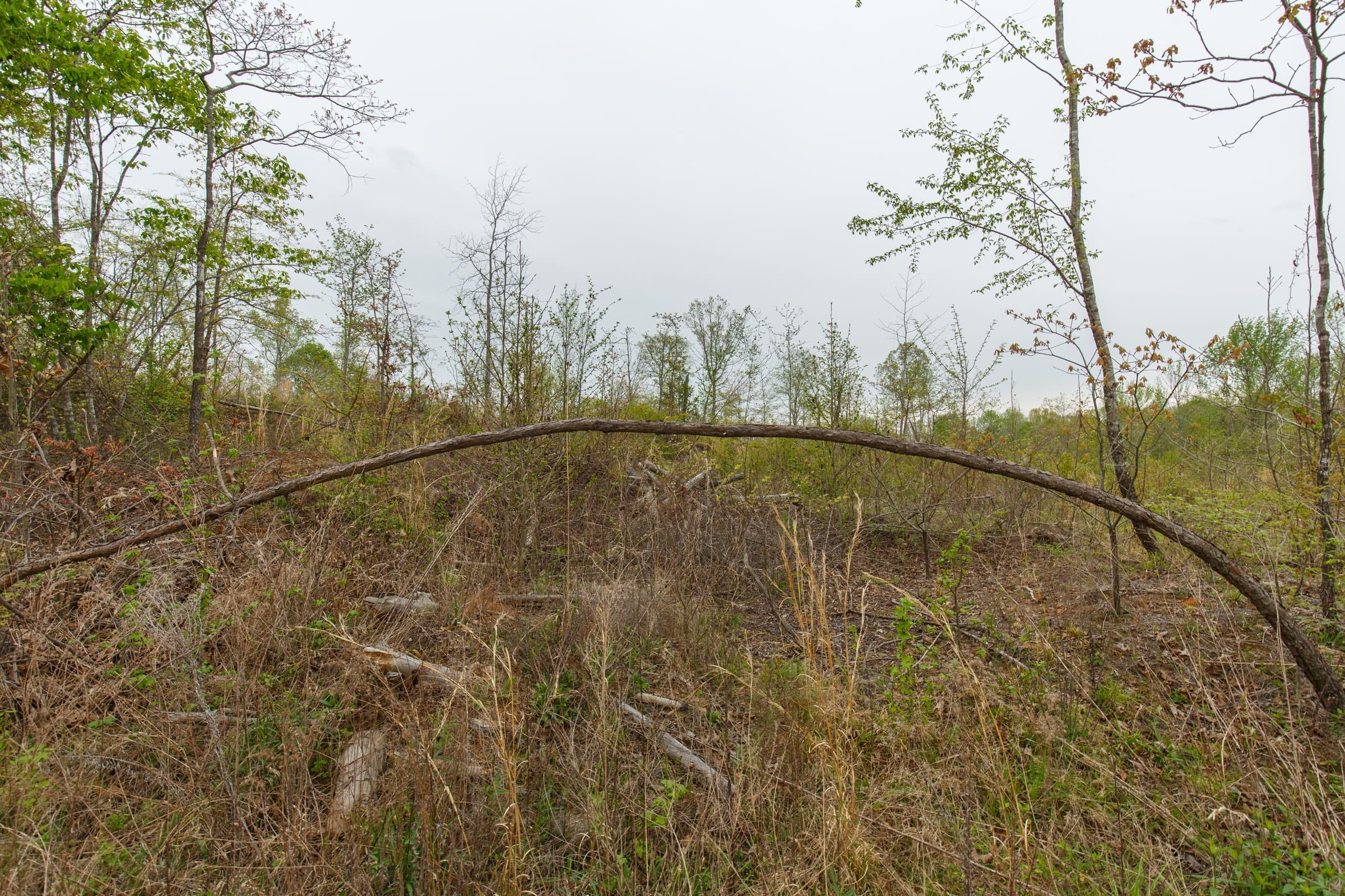 Twin Rivers Tract 21 photo 5