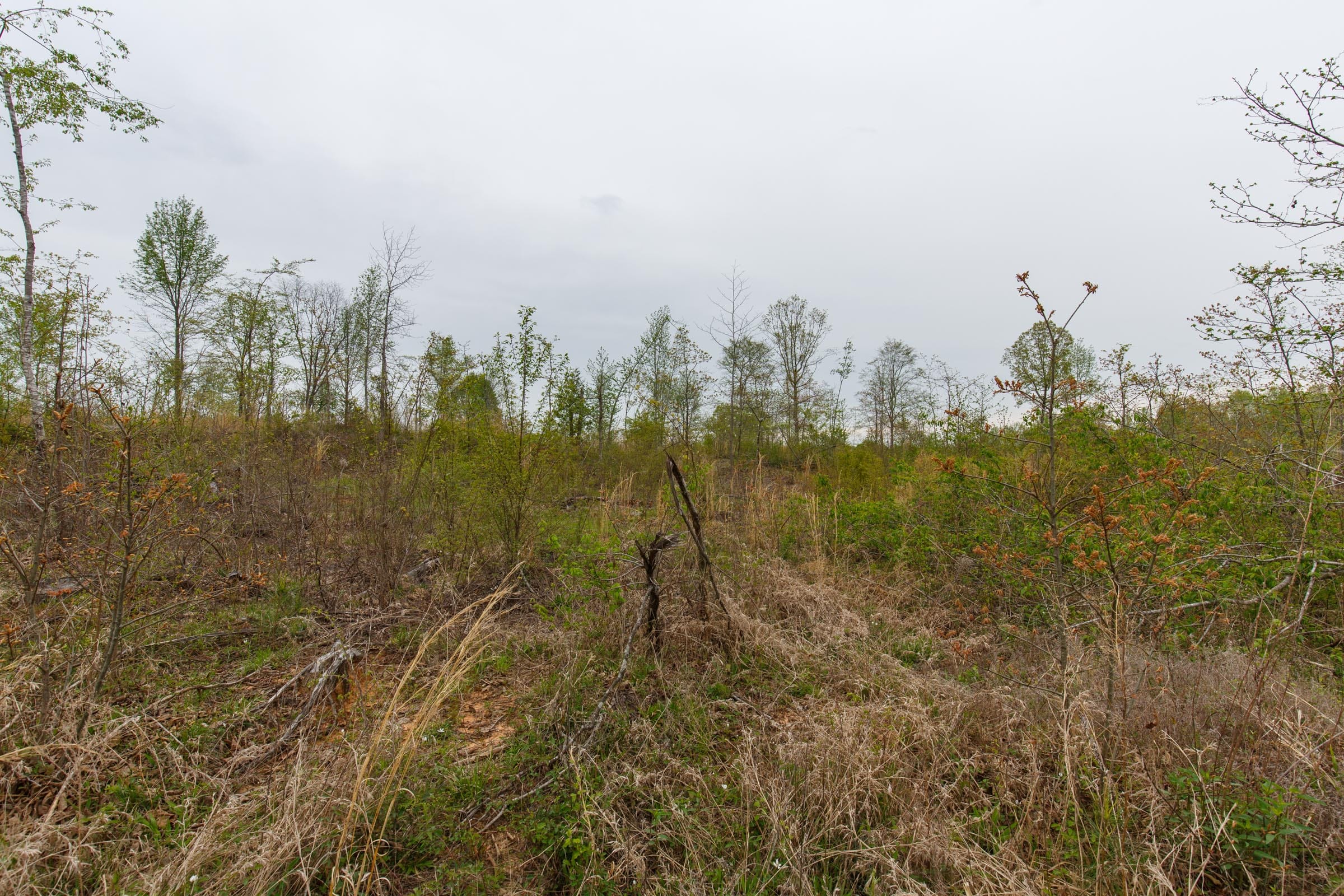 Twin Rivers Tract 21 photo 4