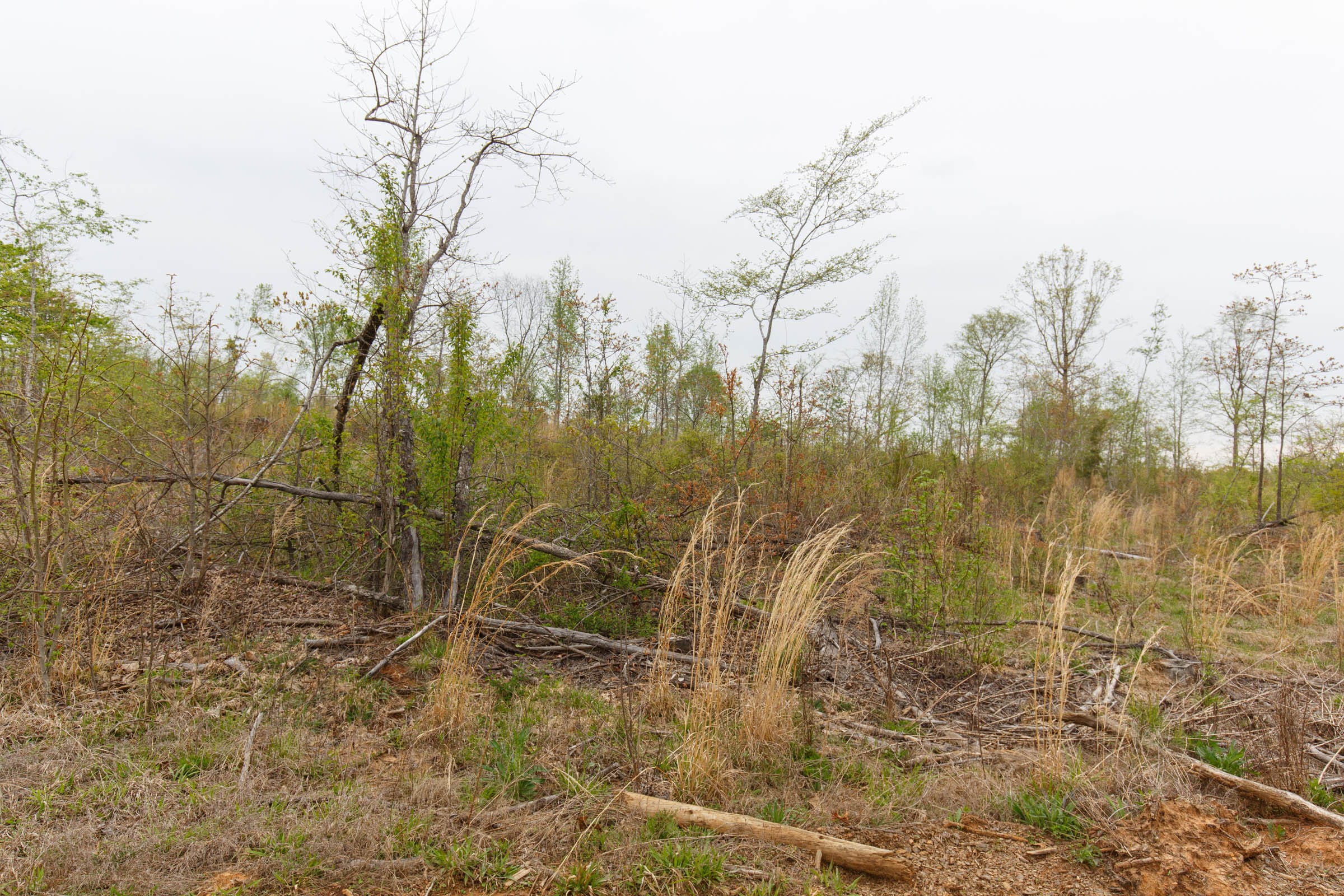 Twin Rivers Tract 21 photo 1