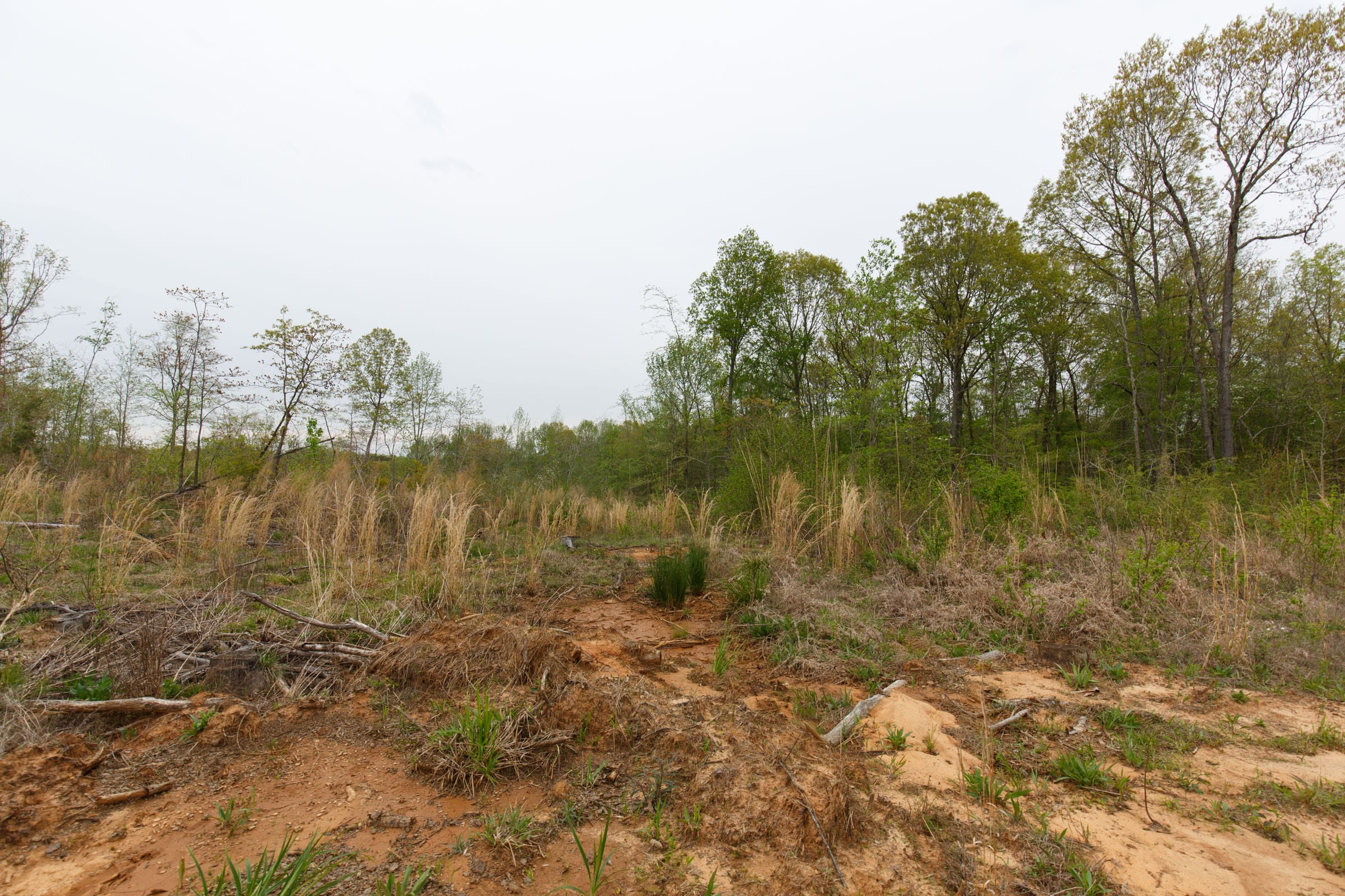 Twin Rivers Tract 21 photo 7