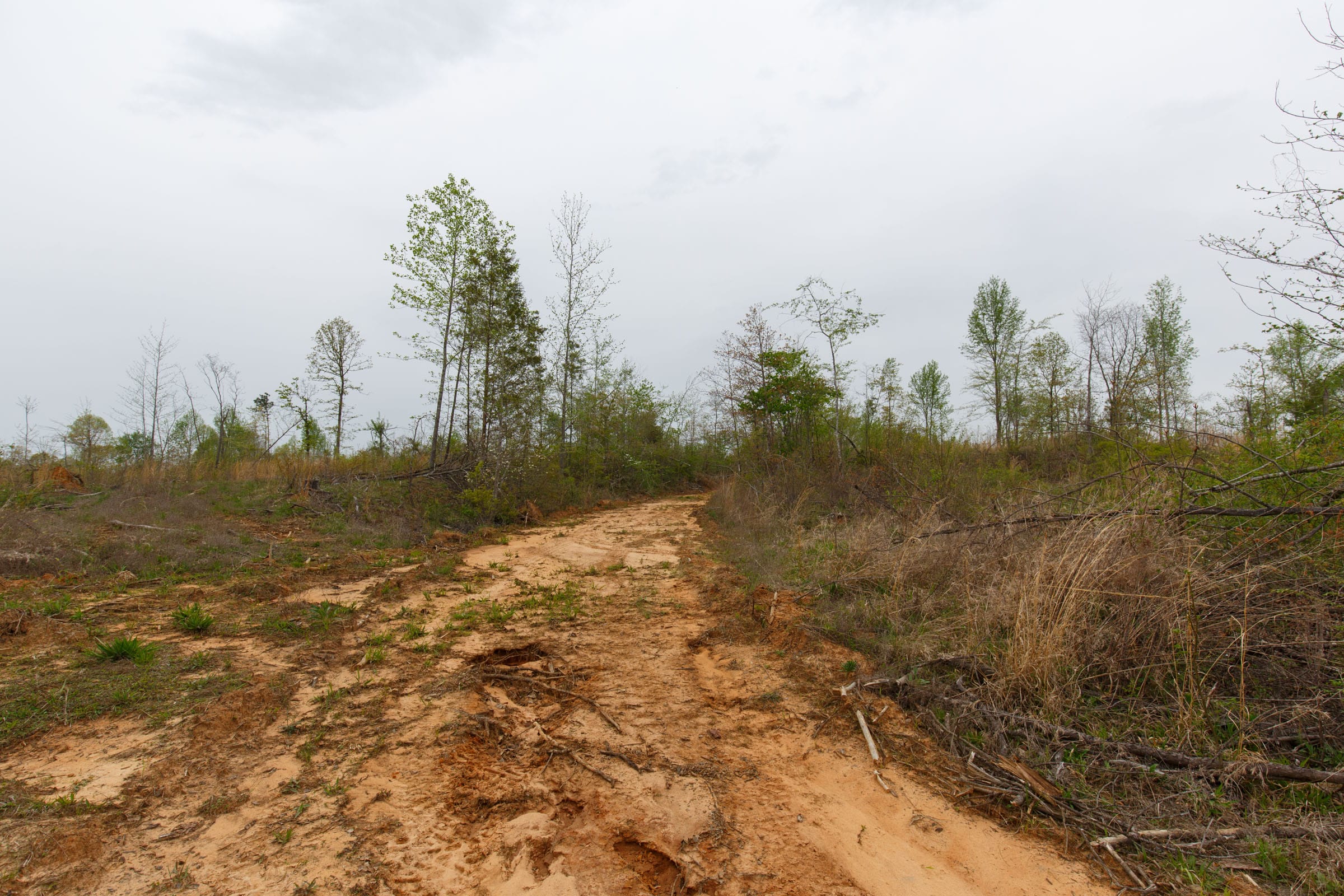 Twin Rivers Tract 21 photo 6