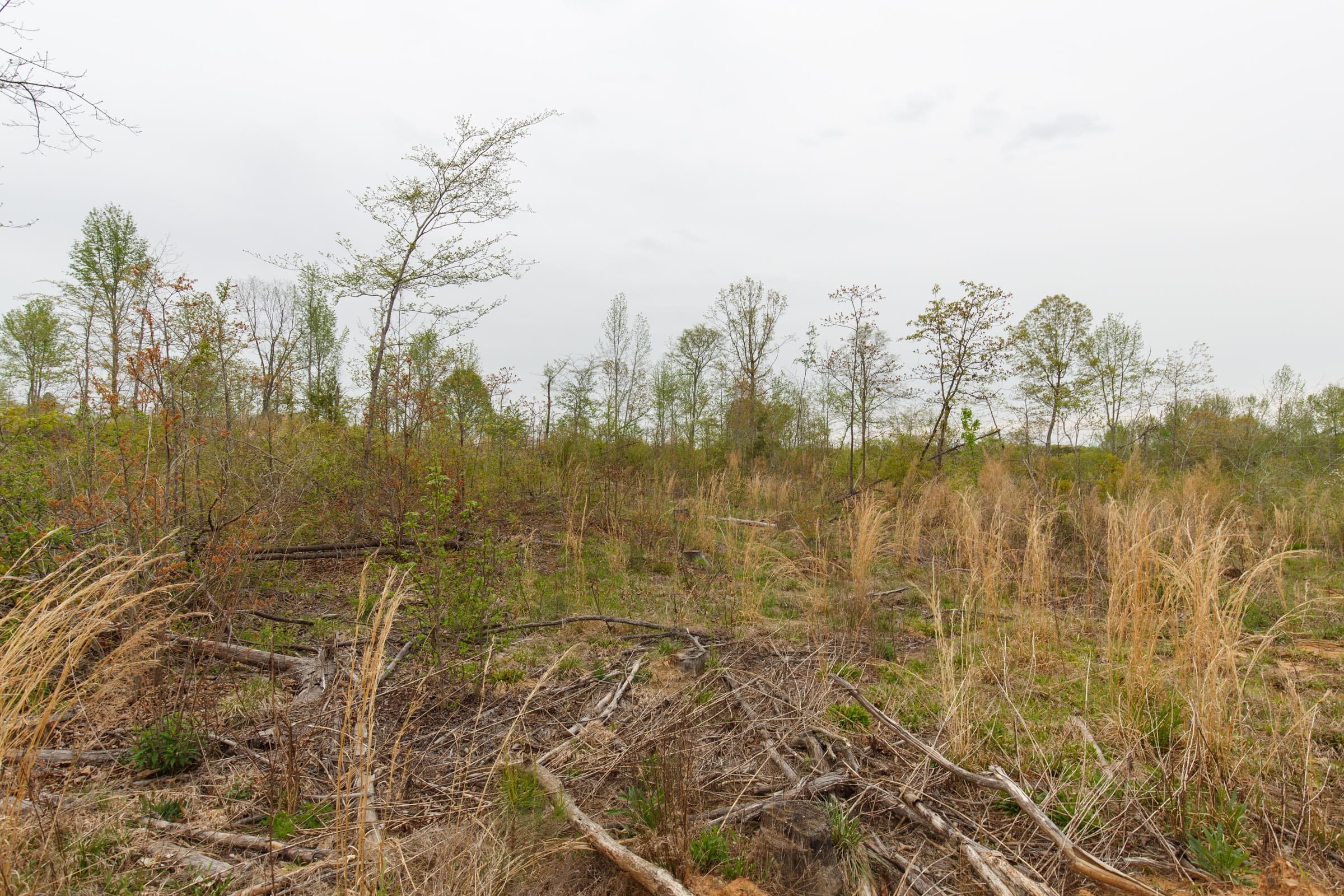 Twin Rivers Tract 21 photo 8