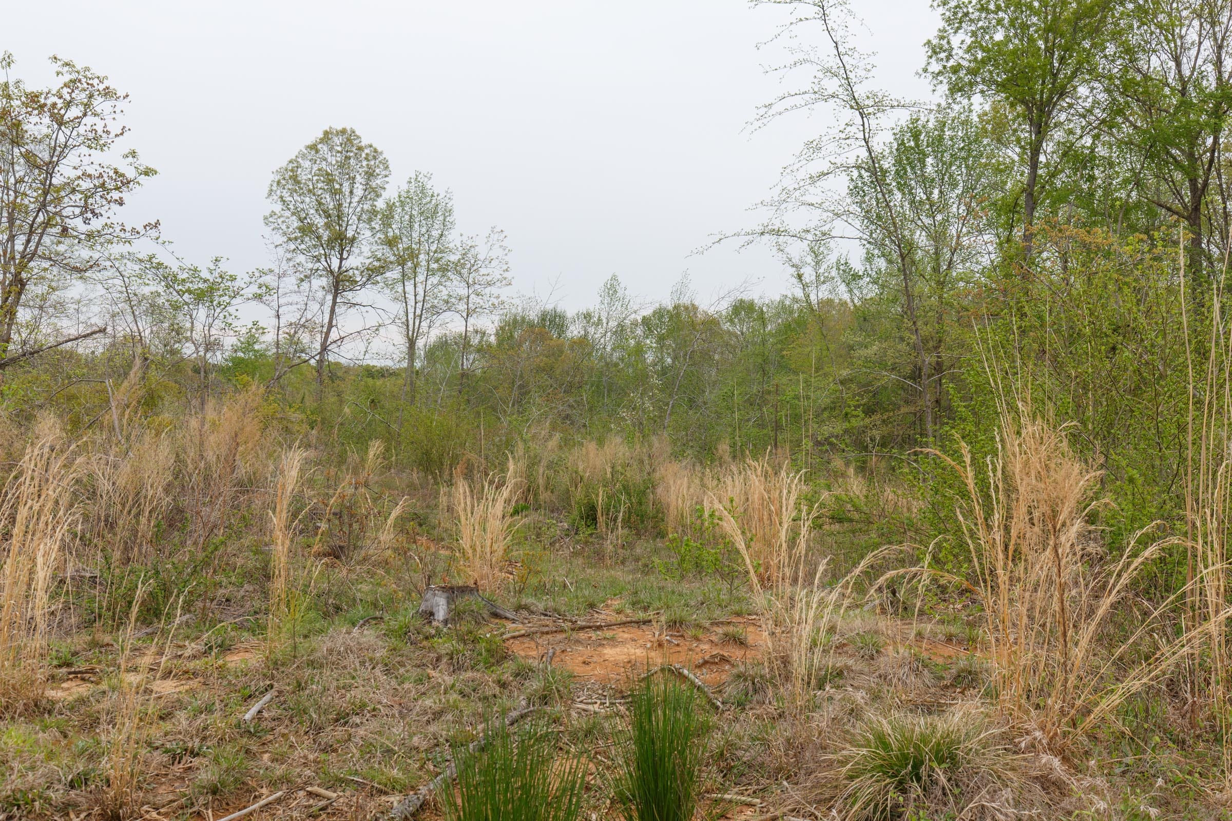 Twin Rivers Tract 21 photo 10