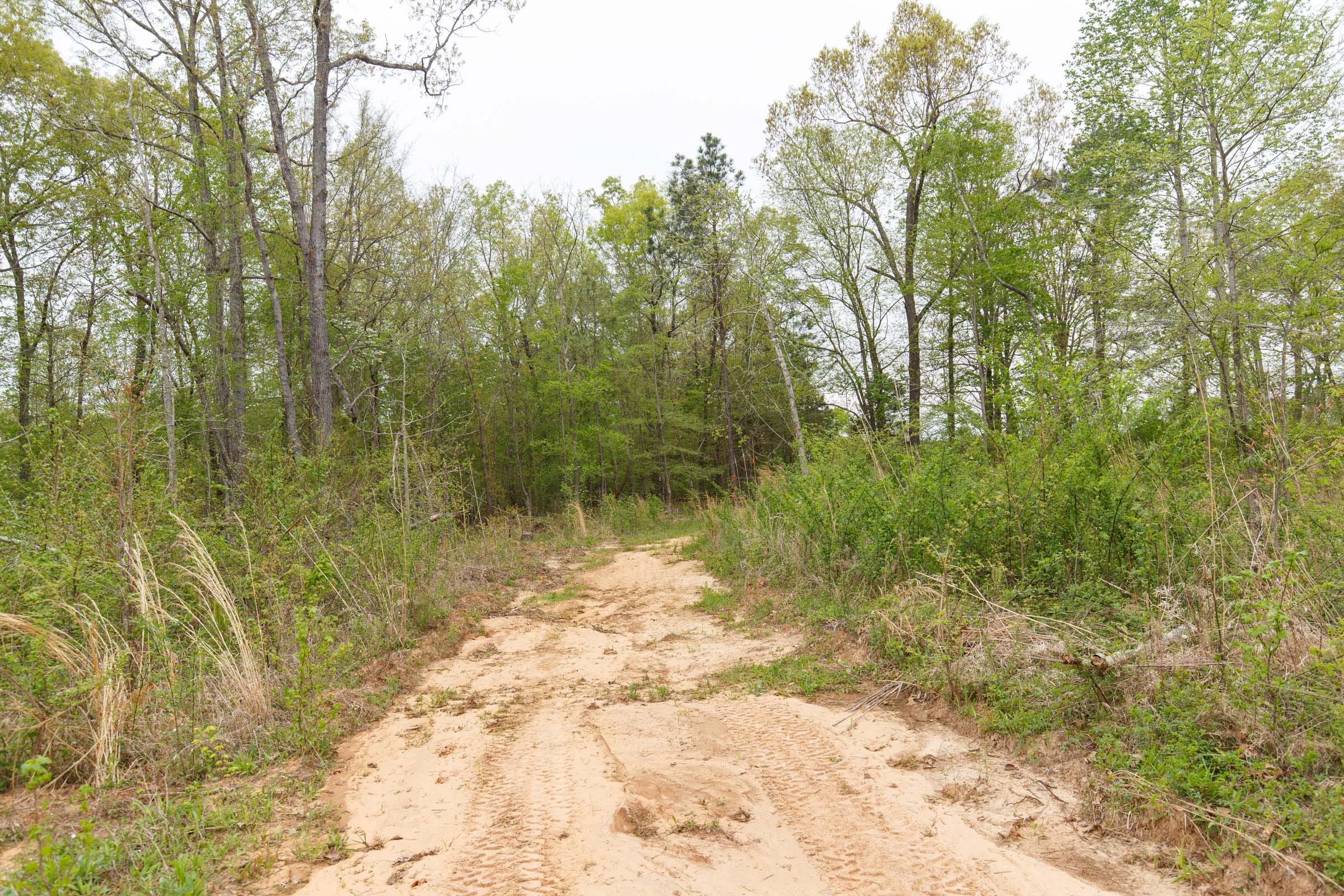 Twin Rivers Tract 21 photo 12