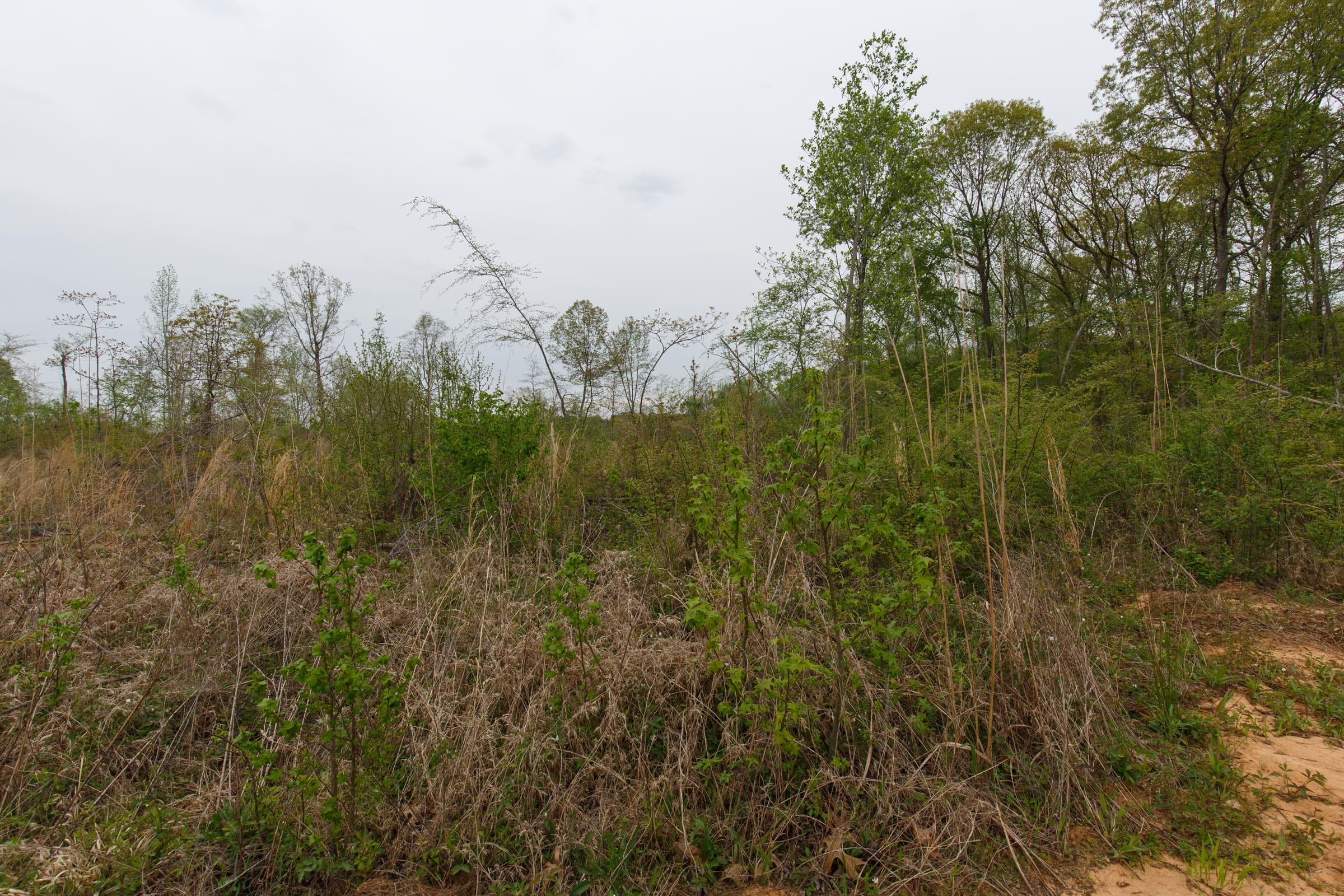 Twin Rivers Tract 21 photo 9
