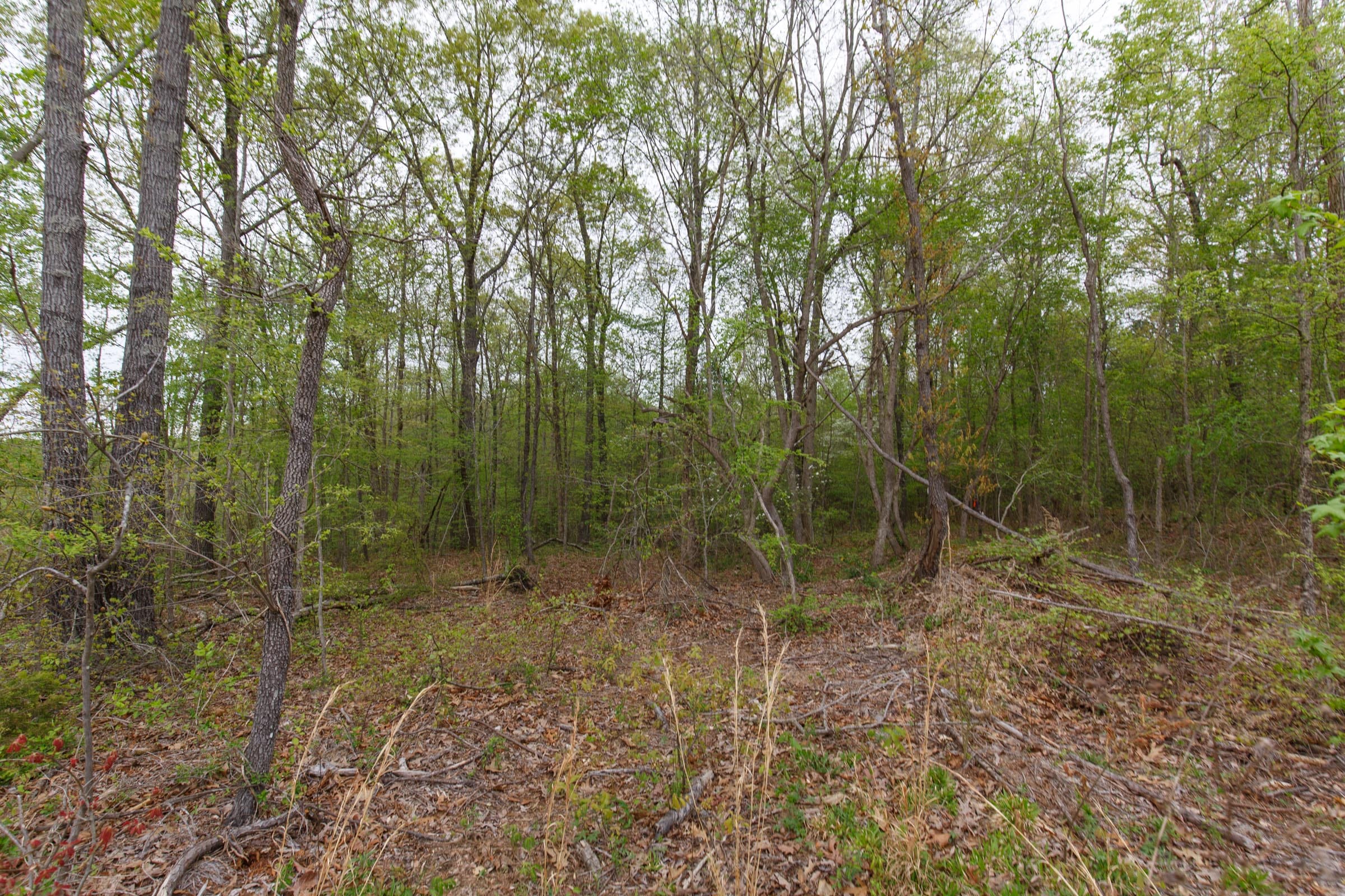 Twin Rivers Tract 21 photo 11