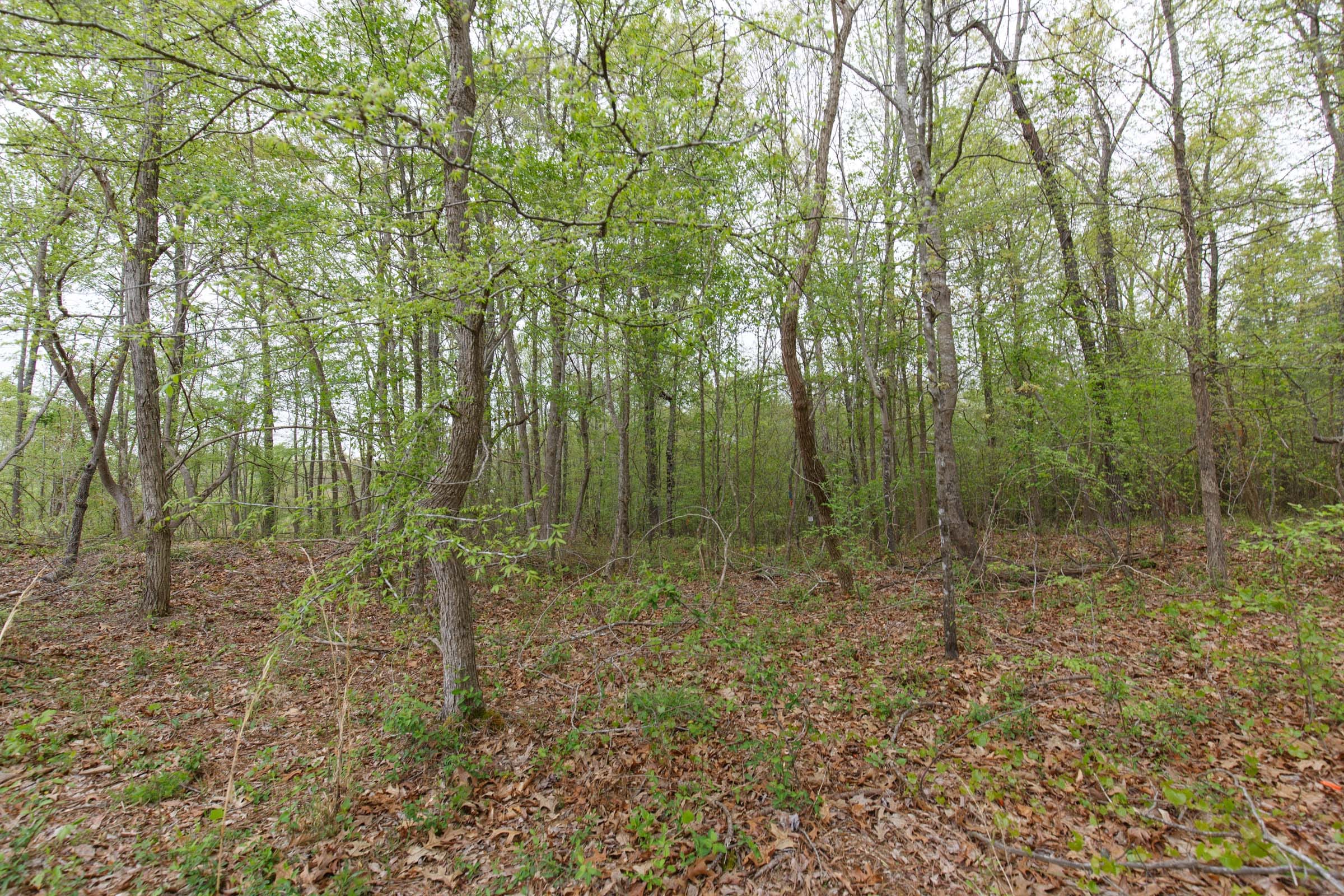 Twin Rivers Tract 21 photo 13