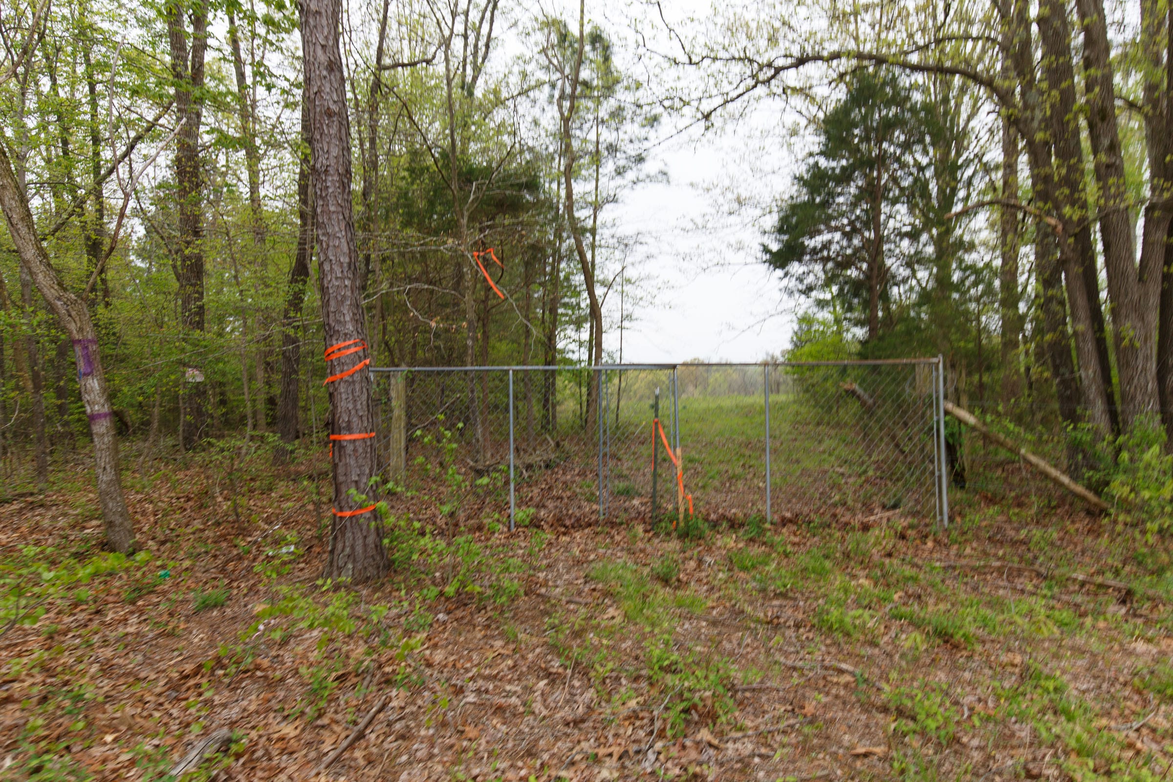 Twin Rivers Tract 21 photo 14