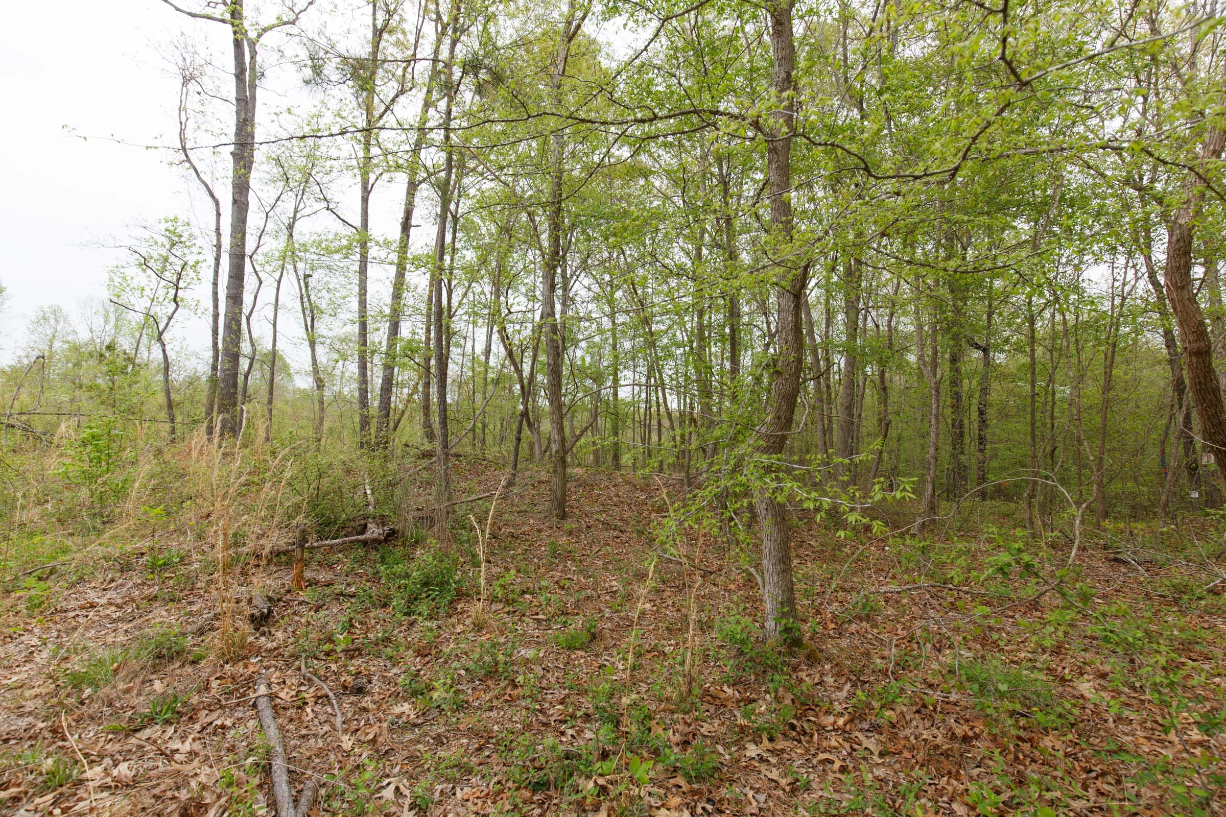 Twin Rivers Tract 21 photo 15